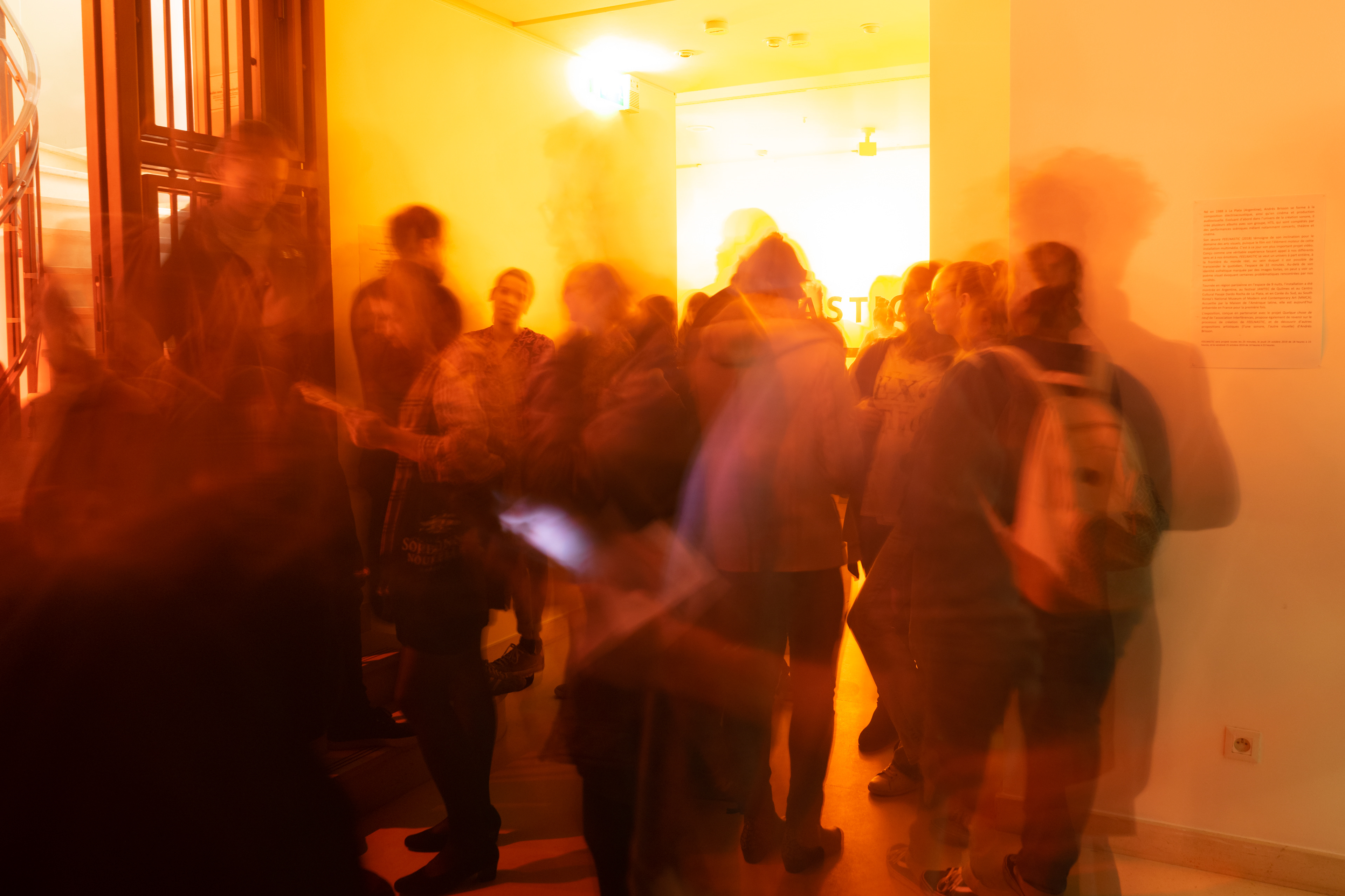Vernissage of the exhibition Feelnastic, Maison de l'Amérique Latine, October 2019