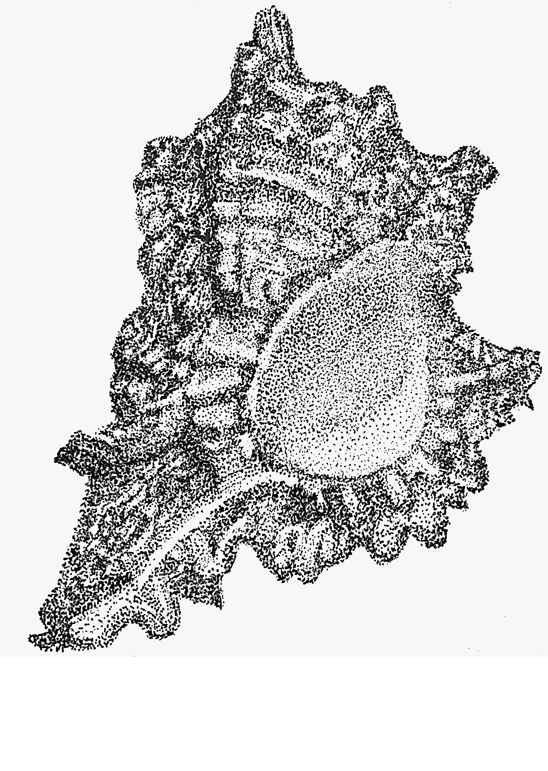 Stipple Hand Drawing