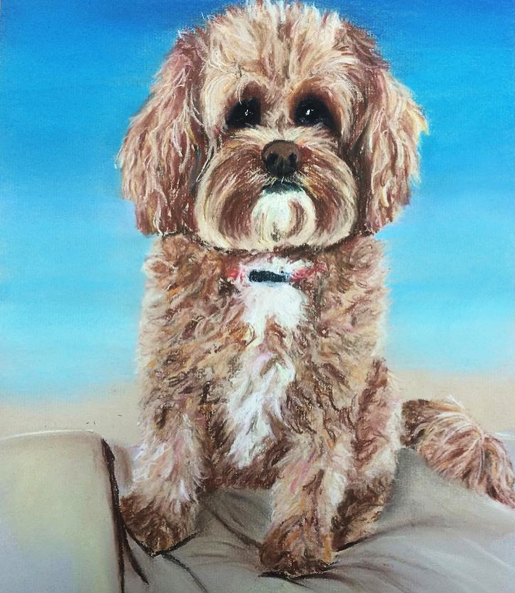 Chalk pastel of my dog, Cooper (2015)