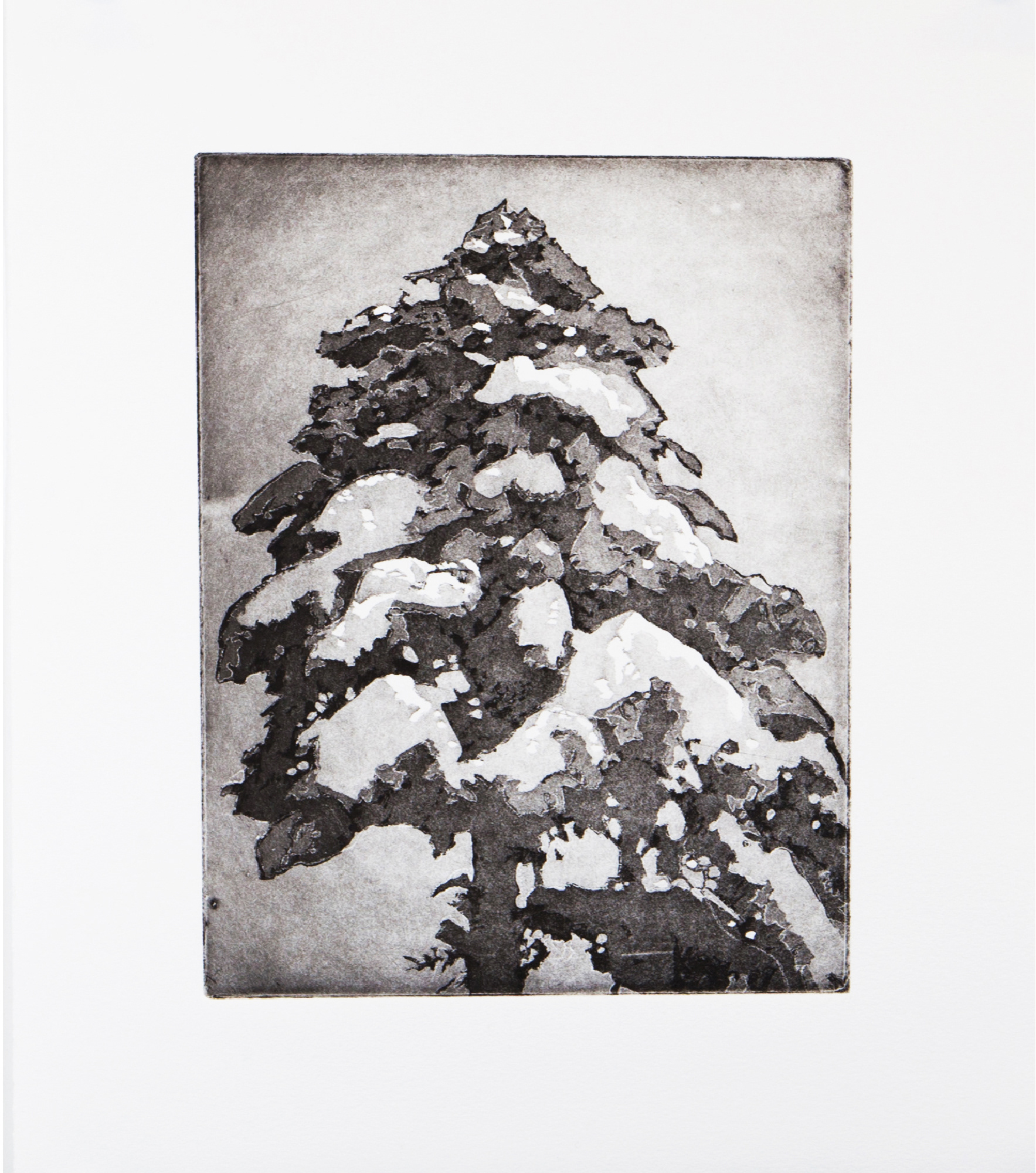 Douglas (2018), Copperplate Aquatint Etching Ink on BFK Rives 280 GSM Printmaking Paper. Edition of 5 / 1AP (11 inches by 14 inches)