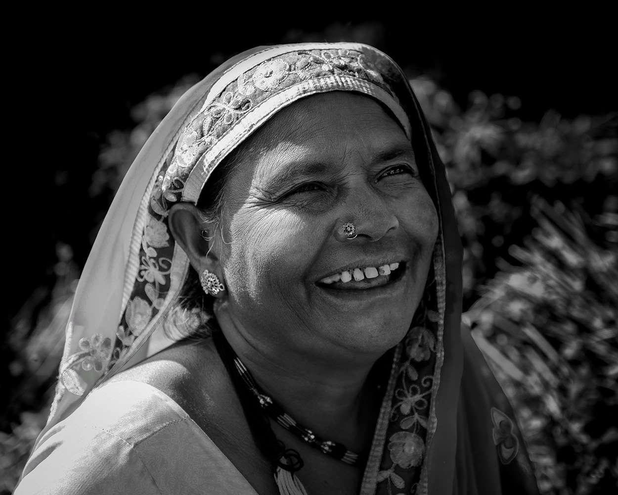 Cow Grass Seller