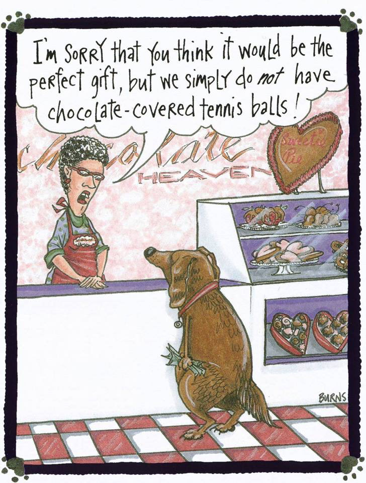 Valentine, Valentine's Day, dog, doggy, pup, puppy, chocolate, gift, tennis balls, funny, funnies, cartoon, photographer, pet, pet portrait, pet photographer, pet photography, Oregon Coast