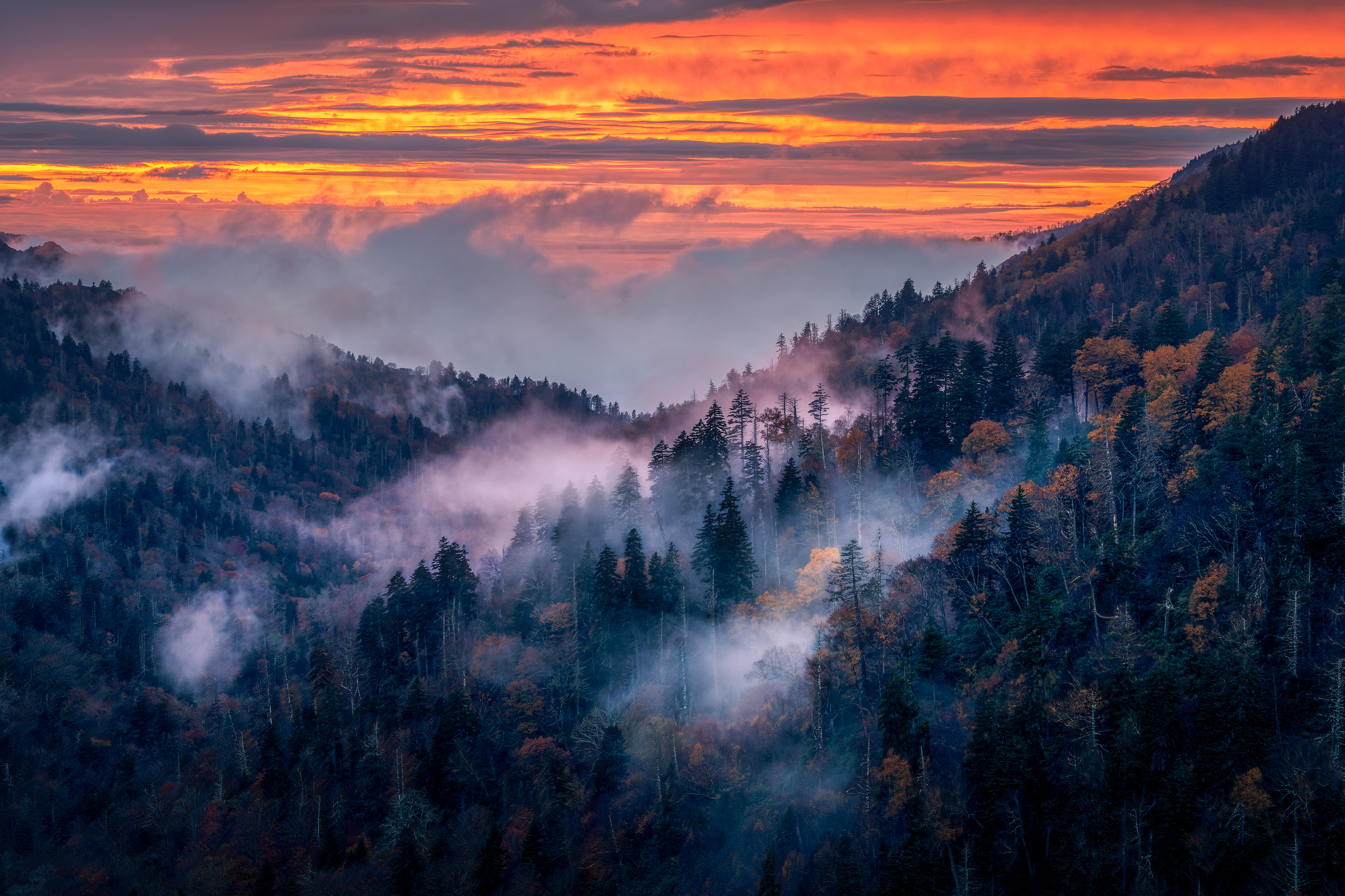 Morton Overlook
