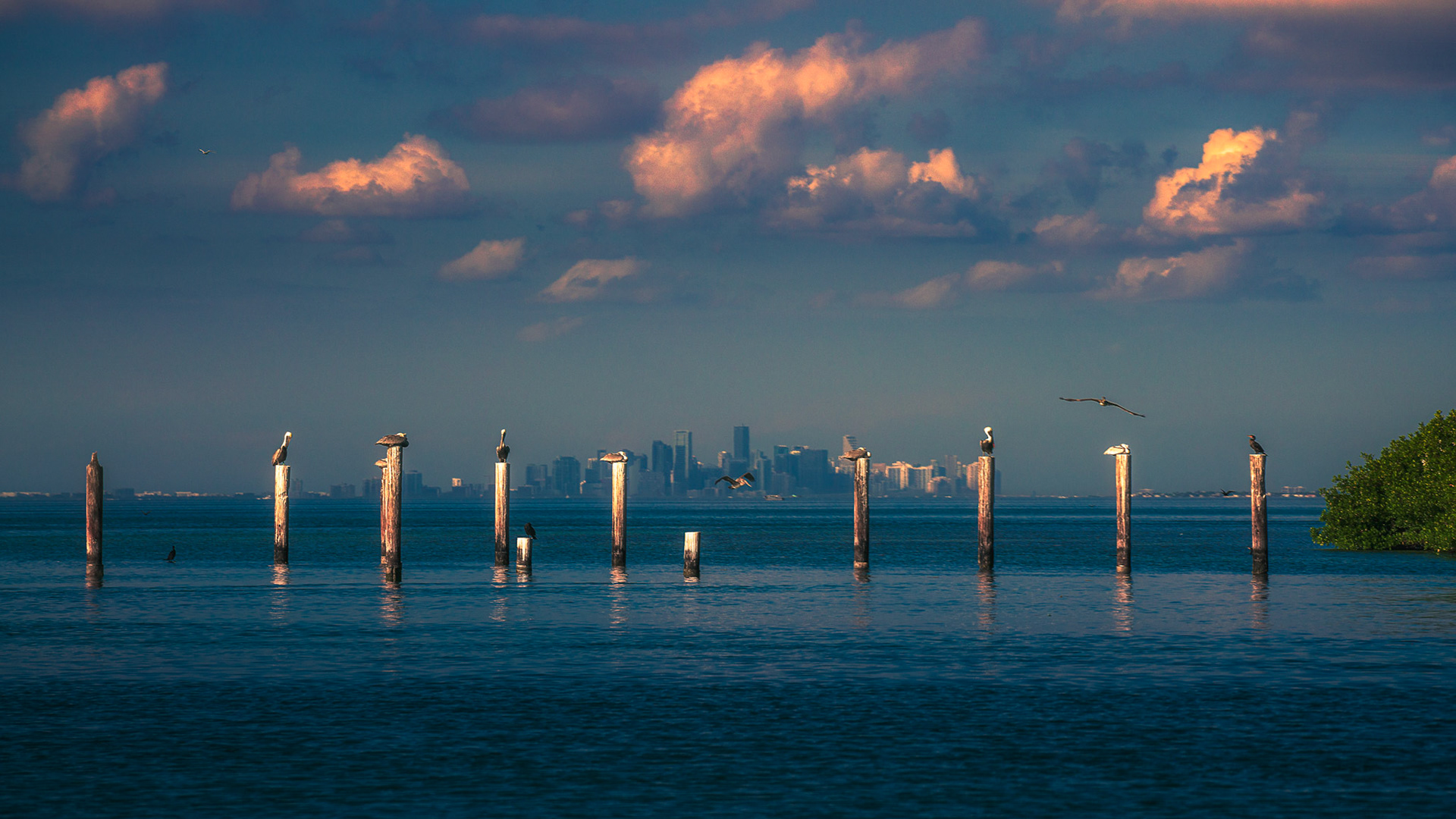 Biscayne