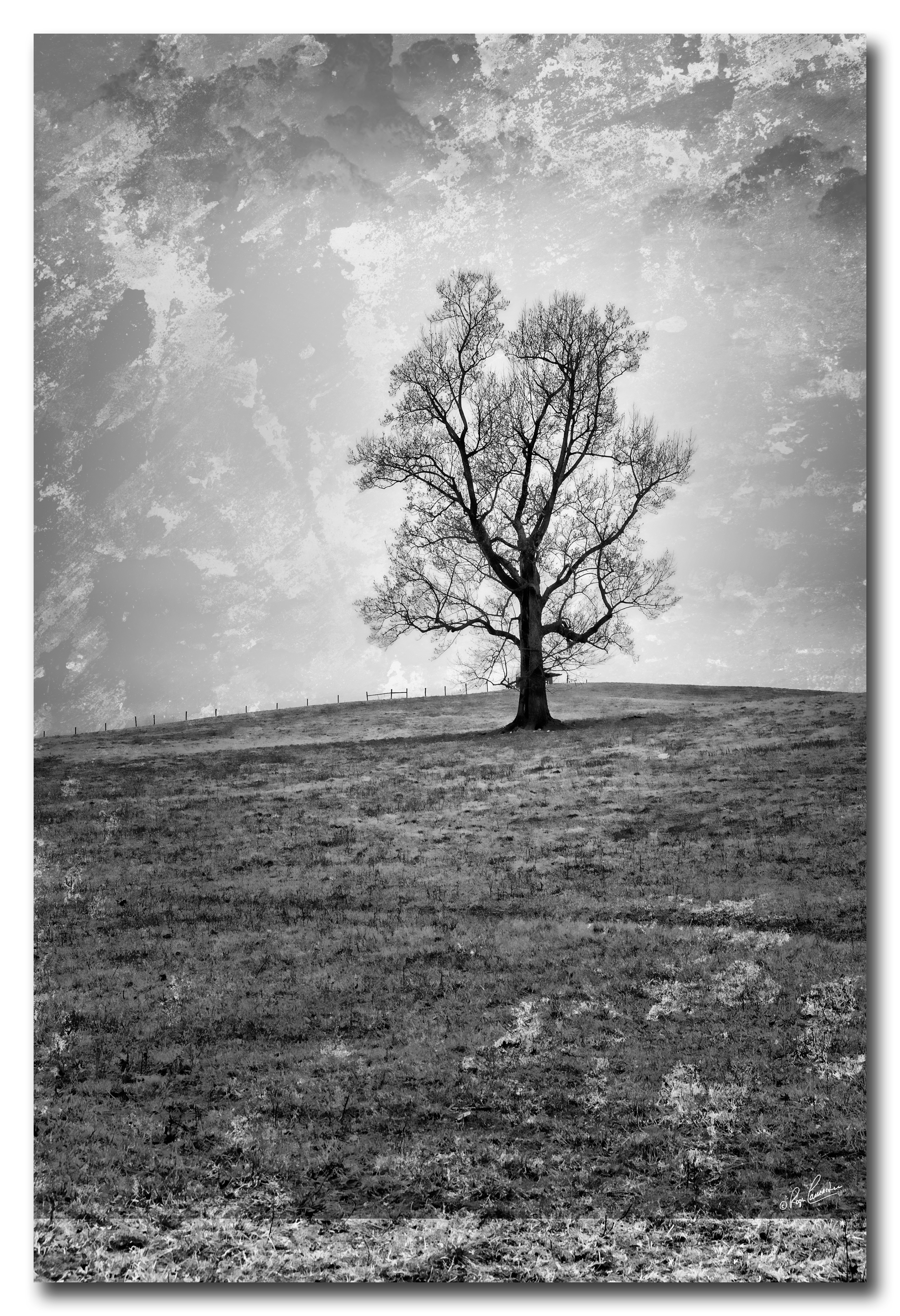 Print 18...Lonesome tree #2....