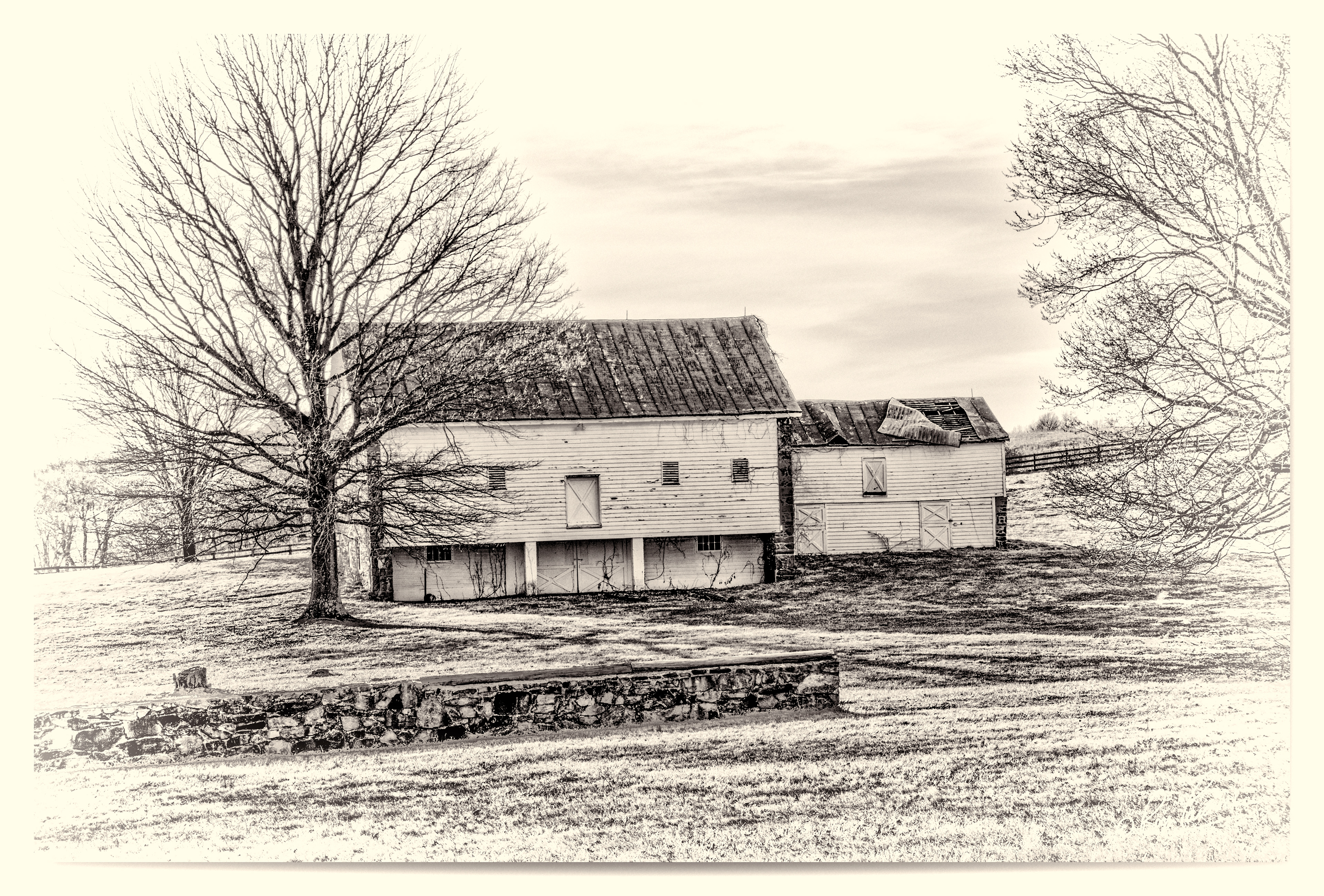 Print 35...In monochrome....