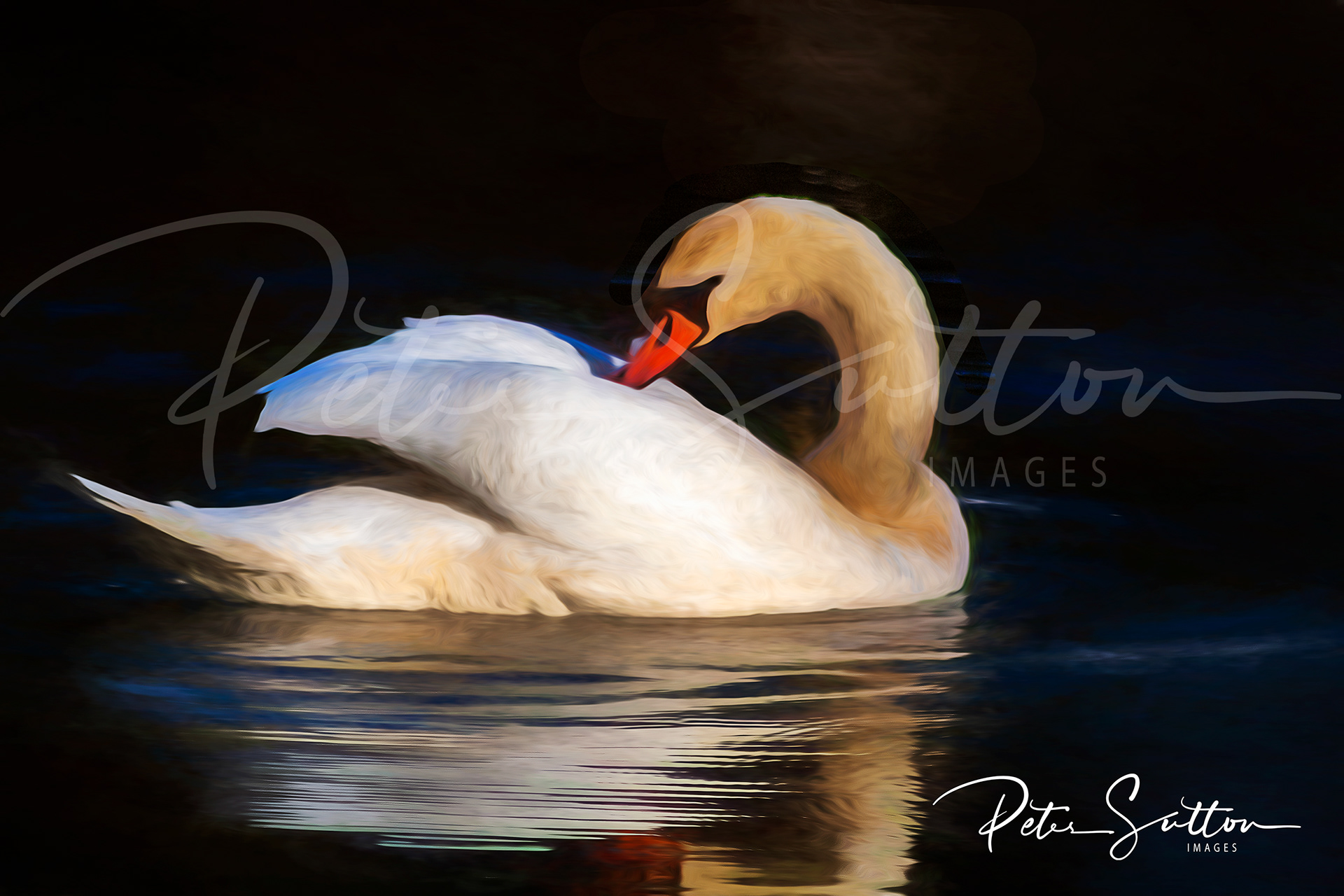 Swan Lake