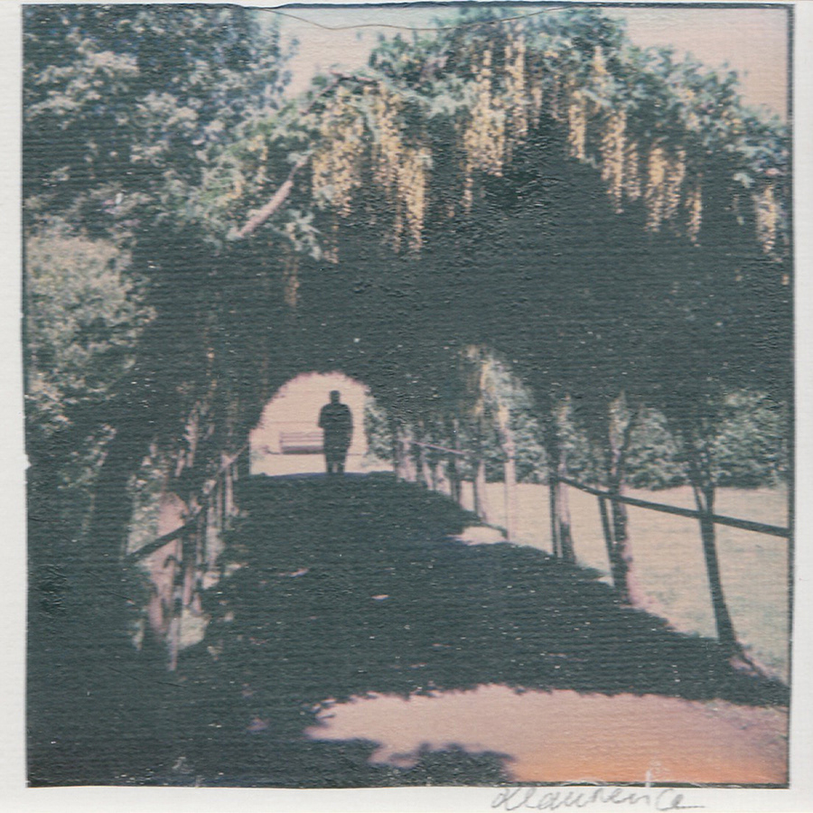 Laburnum Arch The Secret Garden, Royden Wirral. Polaroid Lift on Water colour Paper