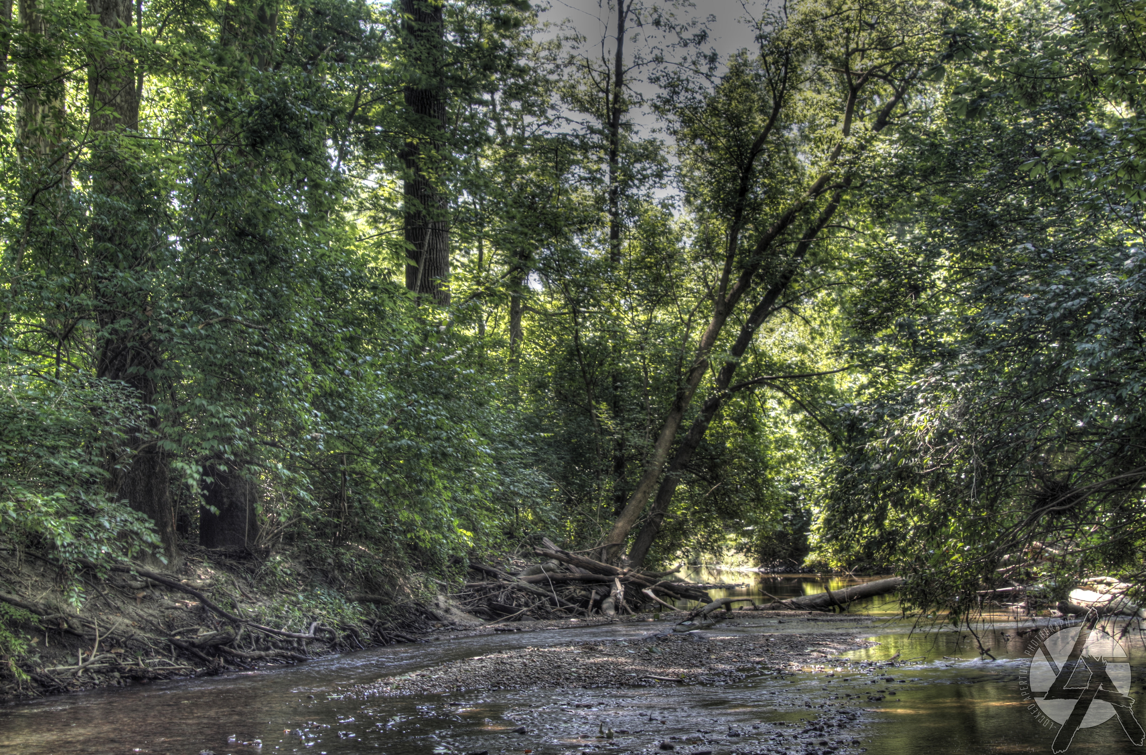 A Quiet Stream '17