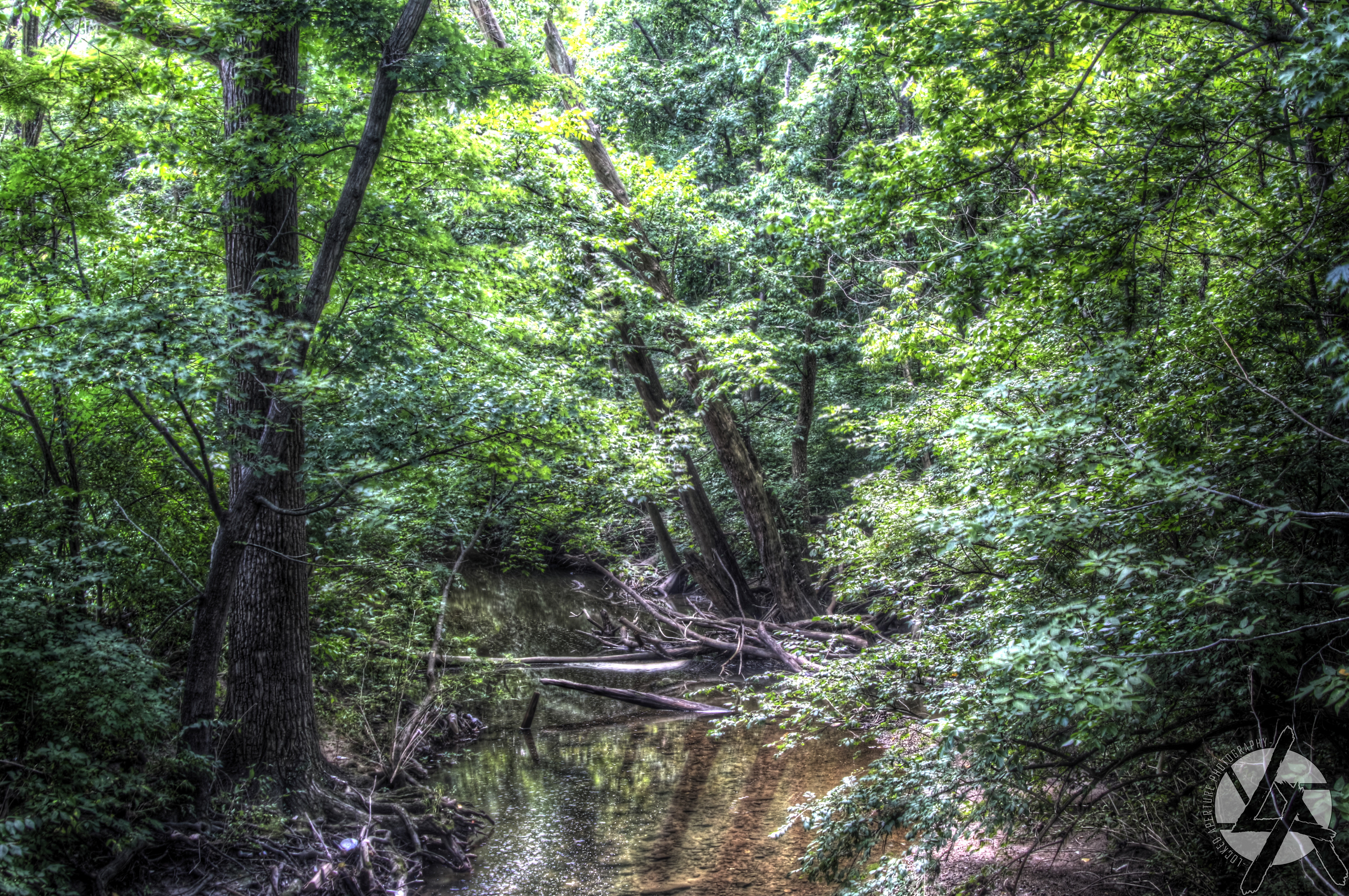 Enchantment Under the Leaves '17