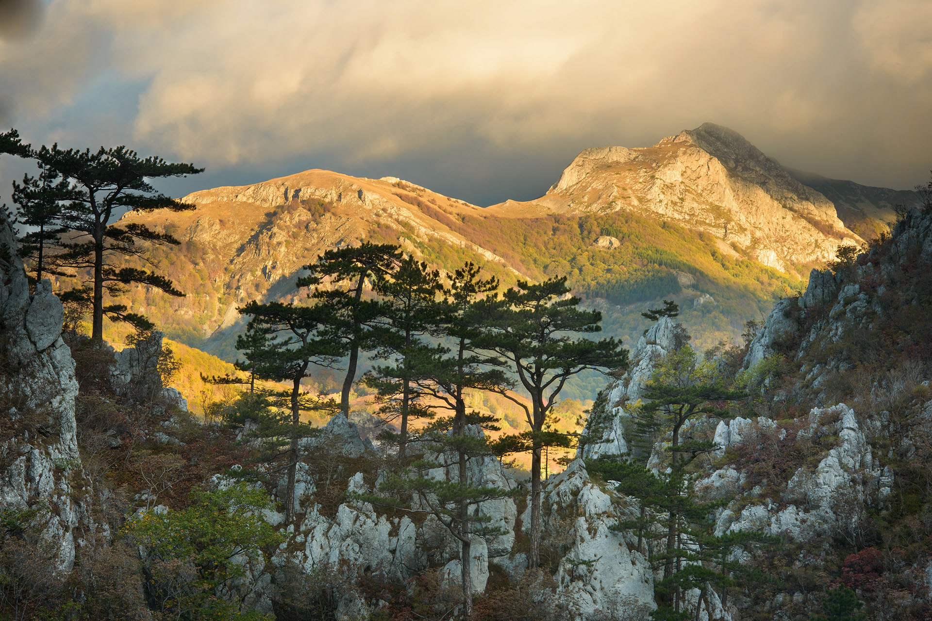 Cheile Țăsnei | Parcul național Domogled - Valea Cernei