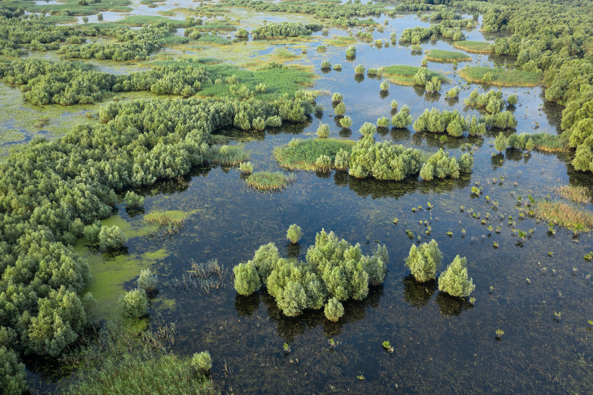 Parcul natural Balta Mică a Brăilei