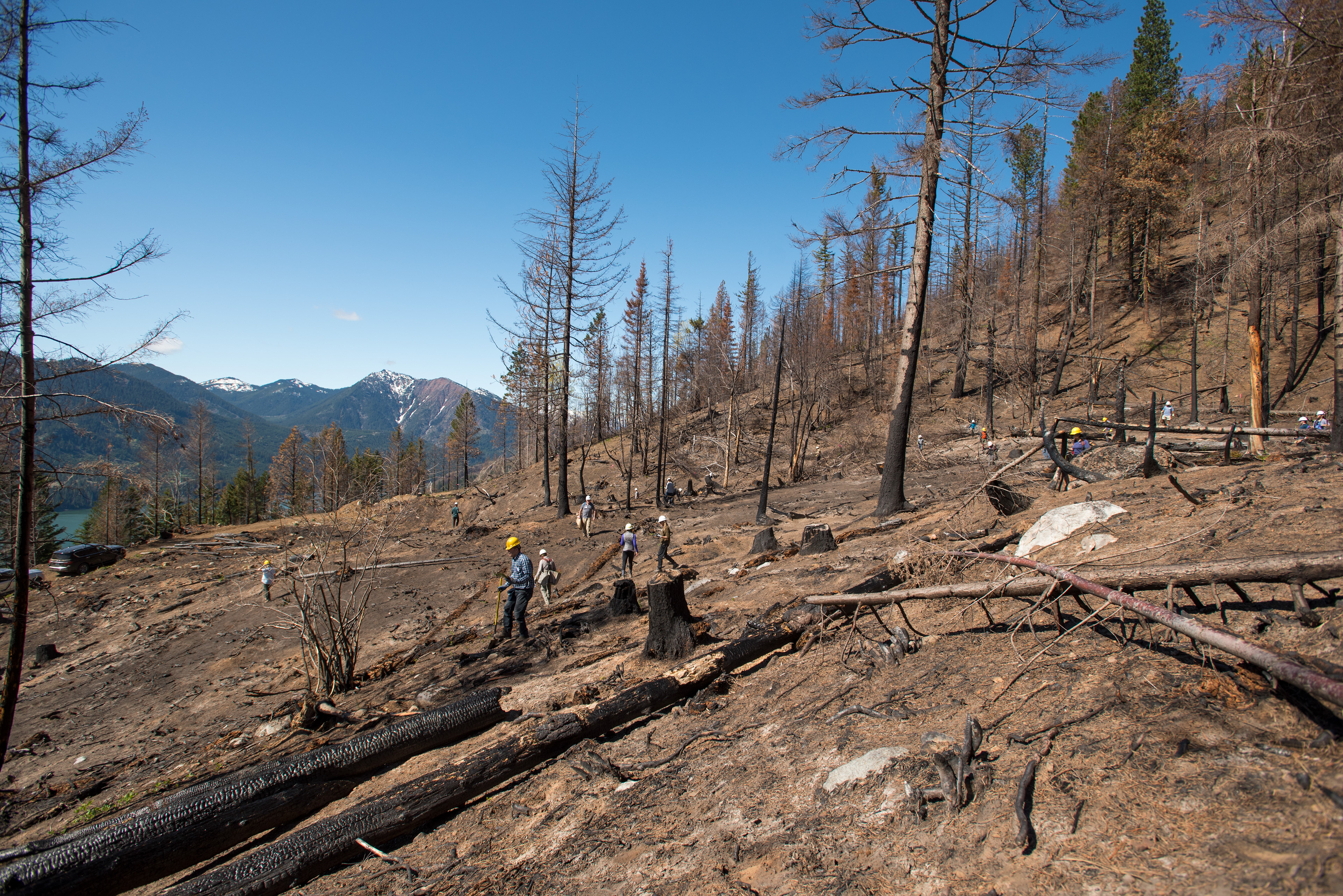 Hannah Letinich Documentary & Conservation Photographer Roslyn Tree Planting