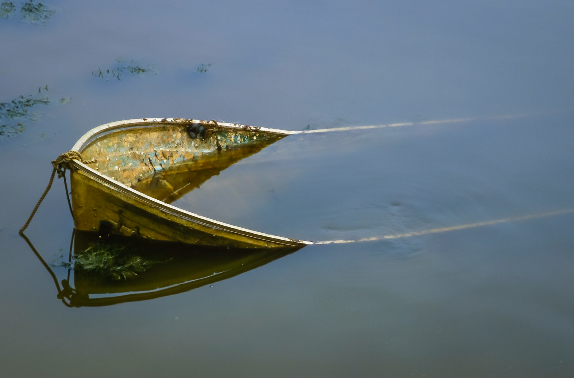 Sunken Row Boat, Rockport, MA