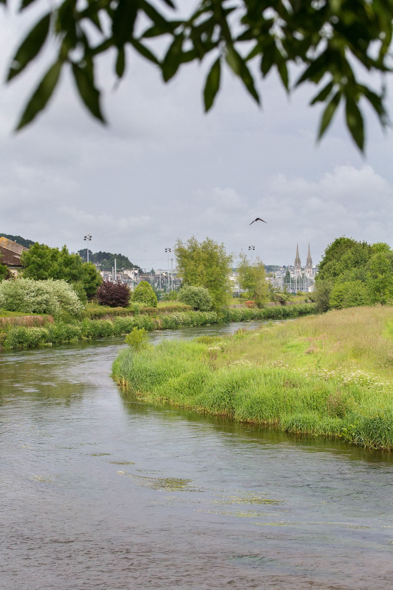 La préservation des espaces naturels, (ici, les berges de l'Odet dans la zone de l'hippodrome) sont une des priorités du PLU.