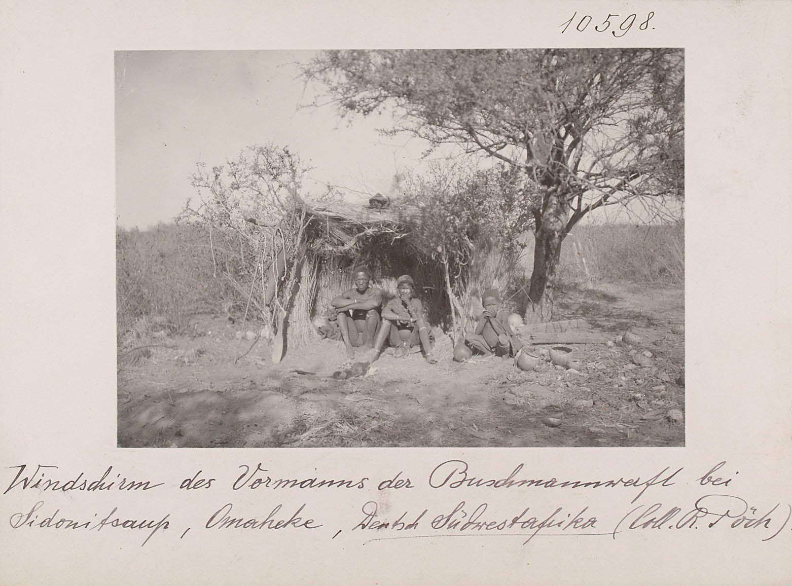 Windscreen of the Chief of the Sanyard at Sidonitsaup, Omaheke, German South-West Africa (Collection Rudolf Pöch) Vienna World Museum, photo 10.598
