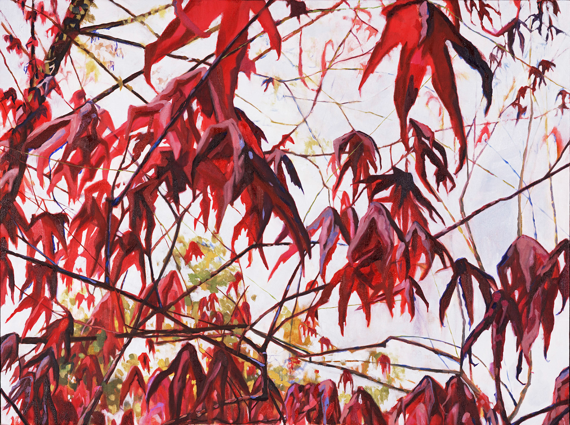 red leaves2, 1/3/06, 12:06 PM, 8C, 3944x5094 (277+432), 75%, bbb, 1/8 s, R72.2, G52.1, B78.9