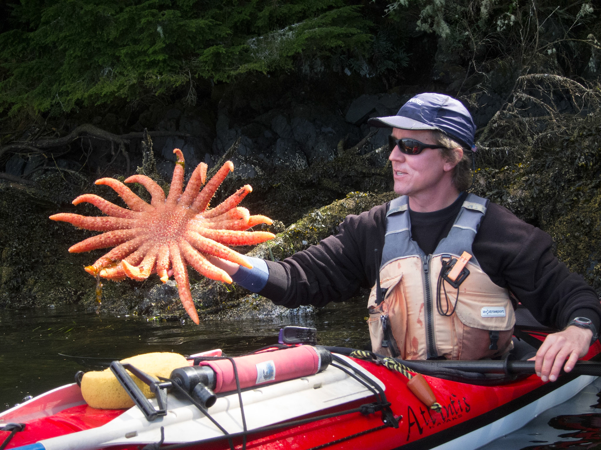 Andy with a sunflower star fish