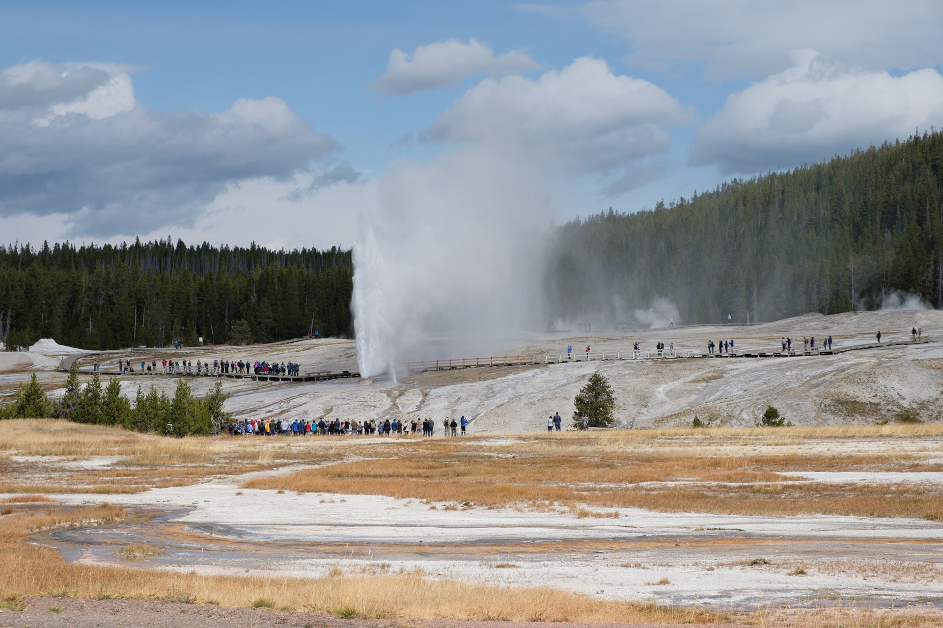 Beehive geyser erupting: noisier and more impressive than Old Faithful!