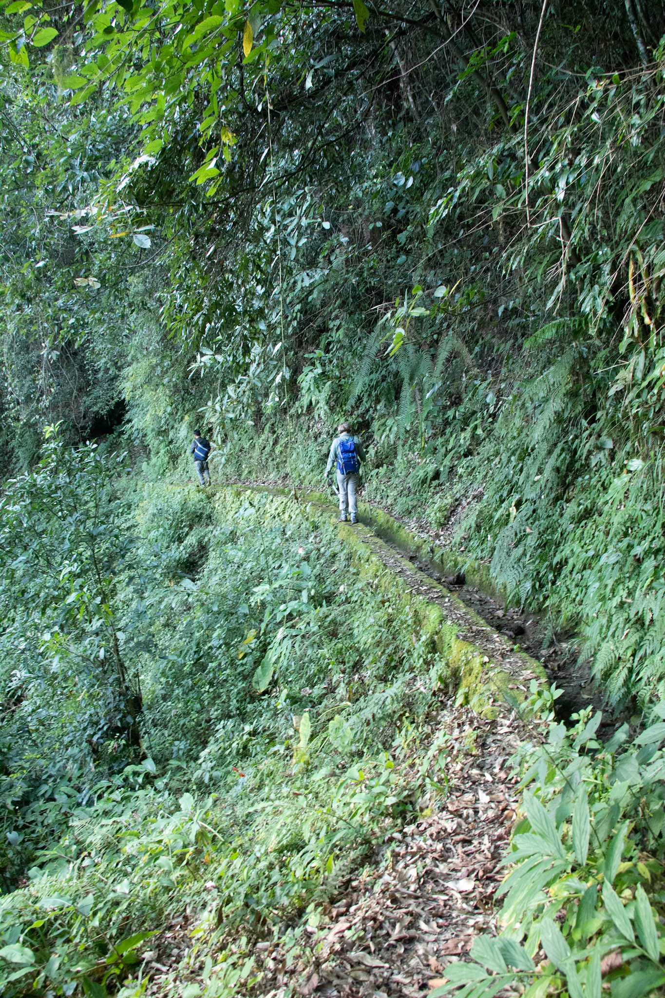 Don't look down! Hokatsho Lake trek