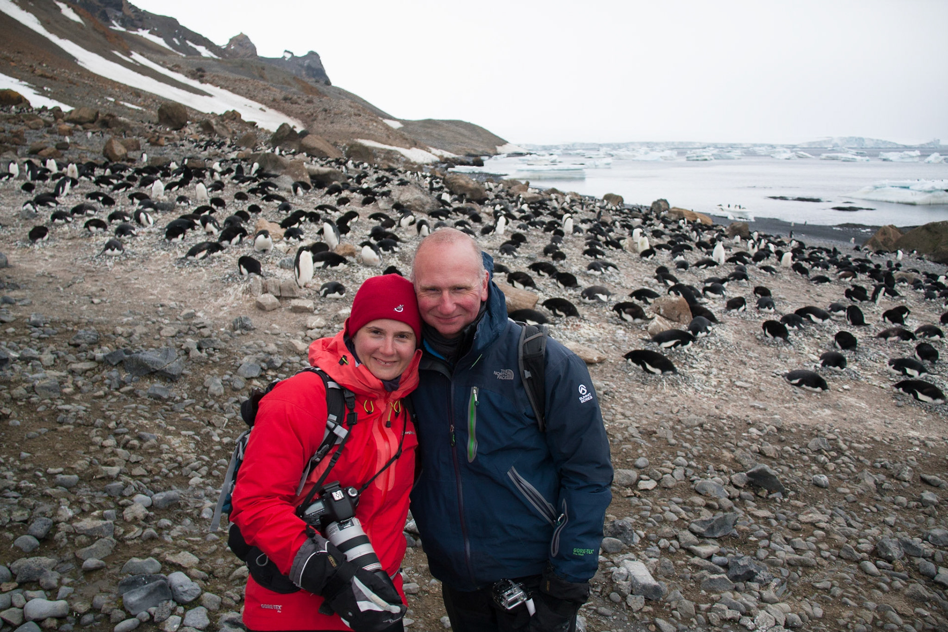 At Brown Bluff, Antarctic mainland
