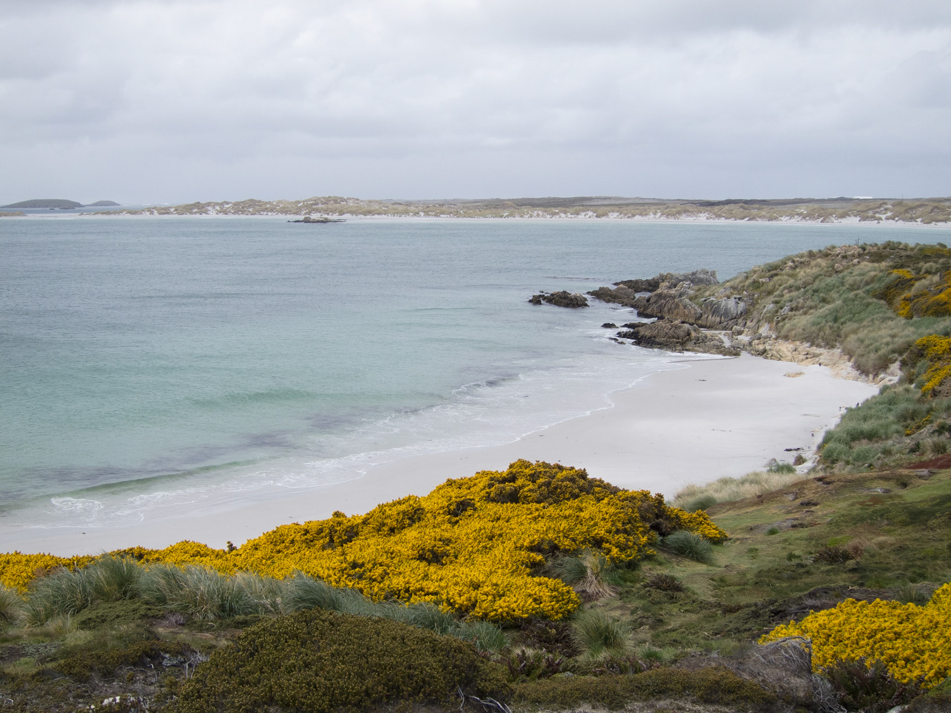 Gypsy Cove near Stanley
