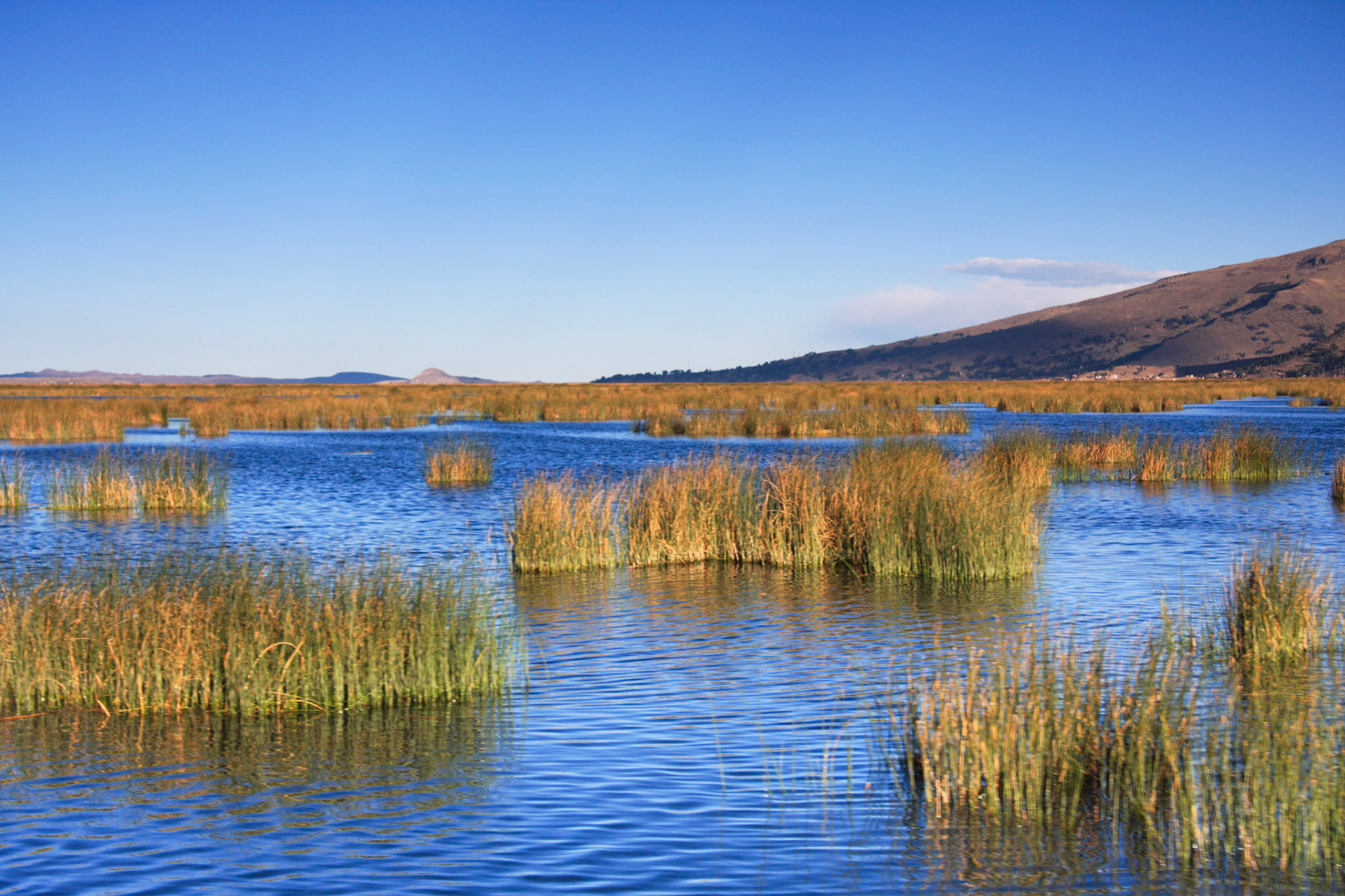 Lake Titicaca