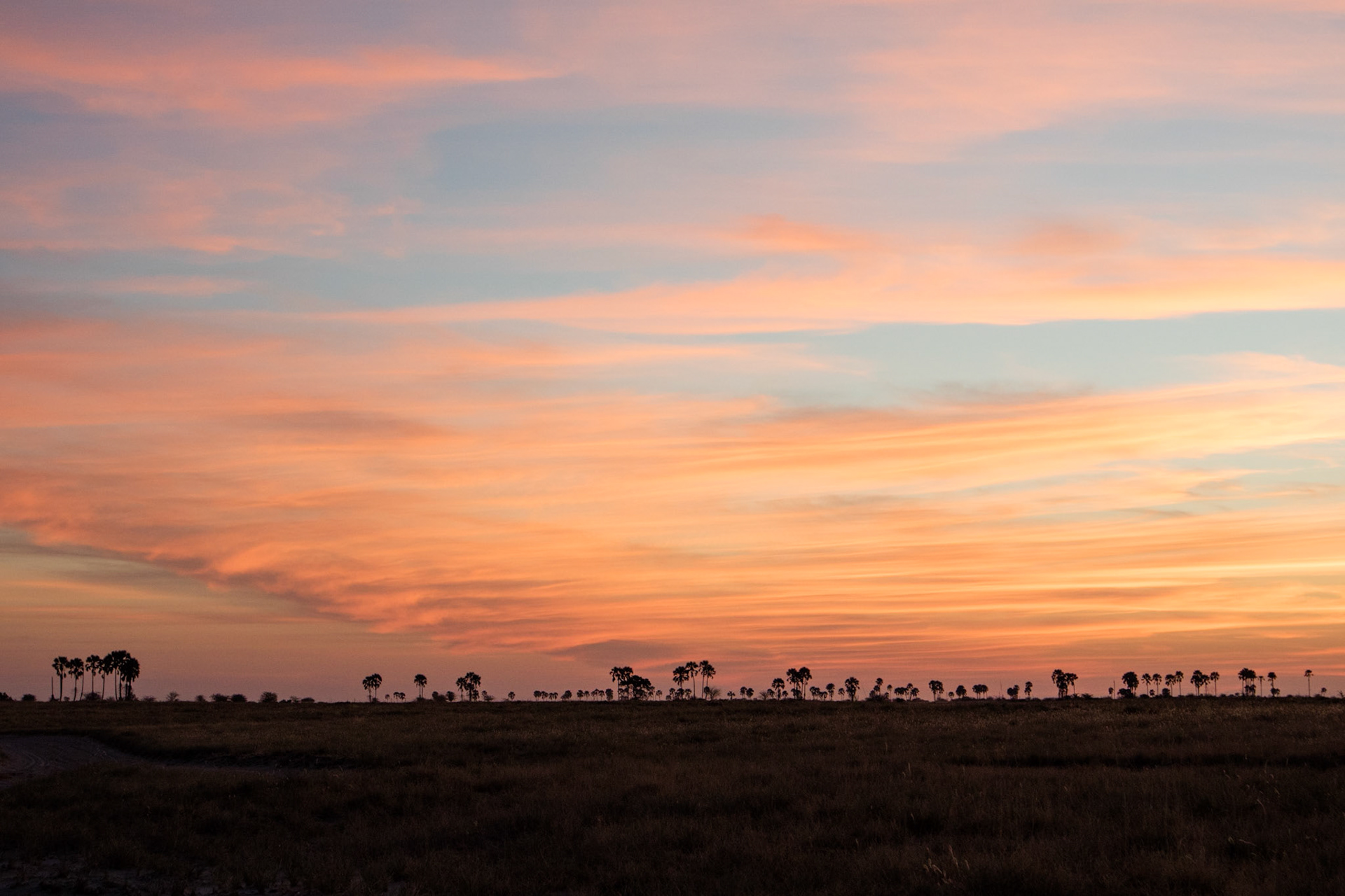 Sunset in the Makgadikgadi
