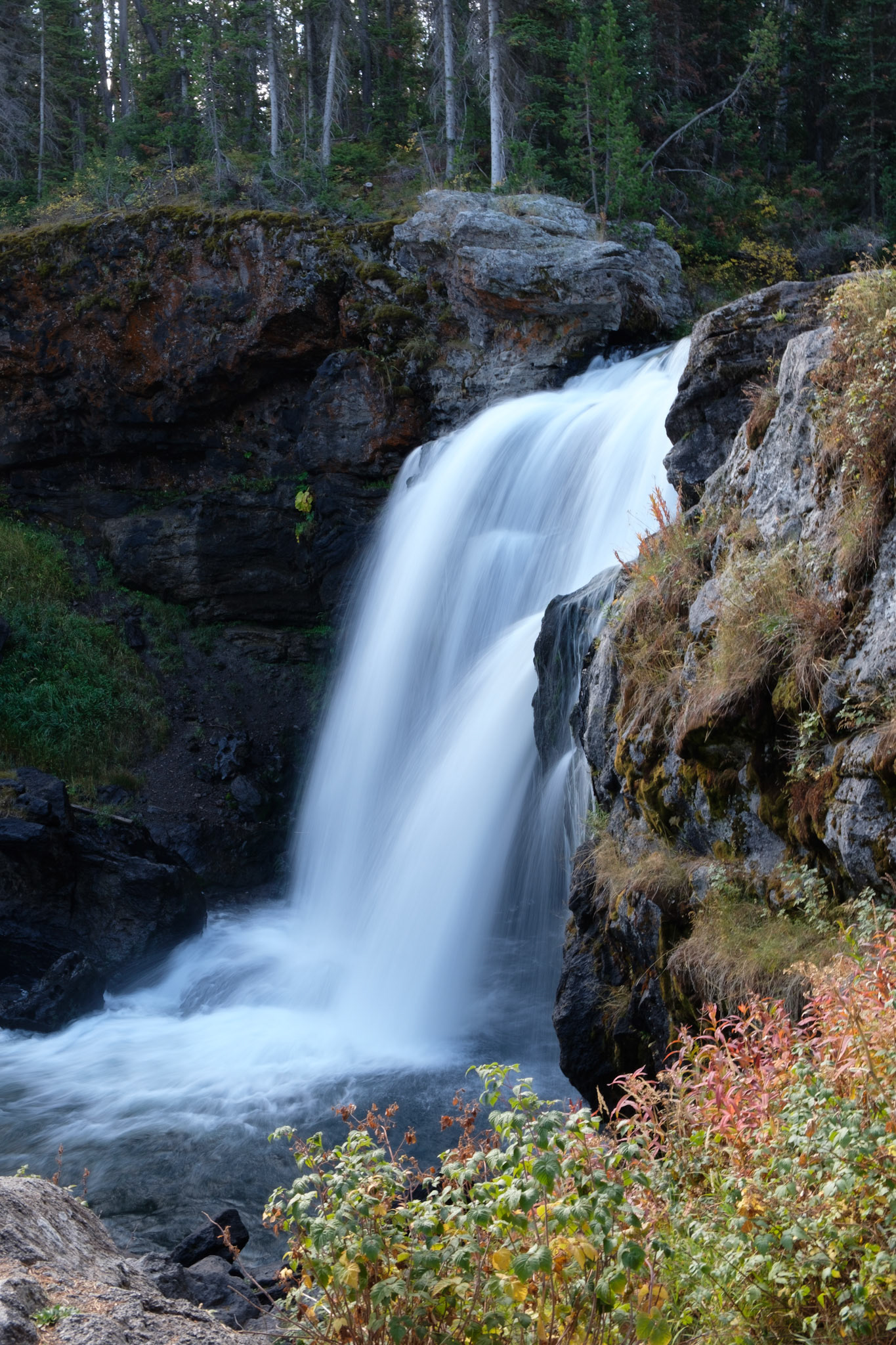 Moose Falls, Yellowstone National Park