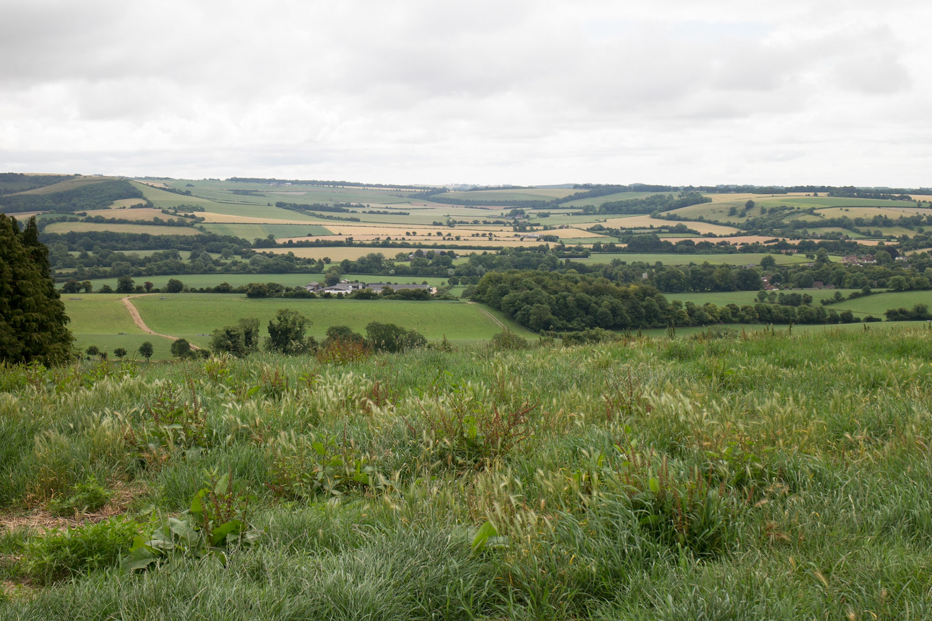 View from Beacon Hill