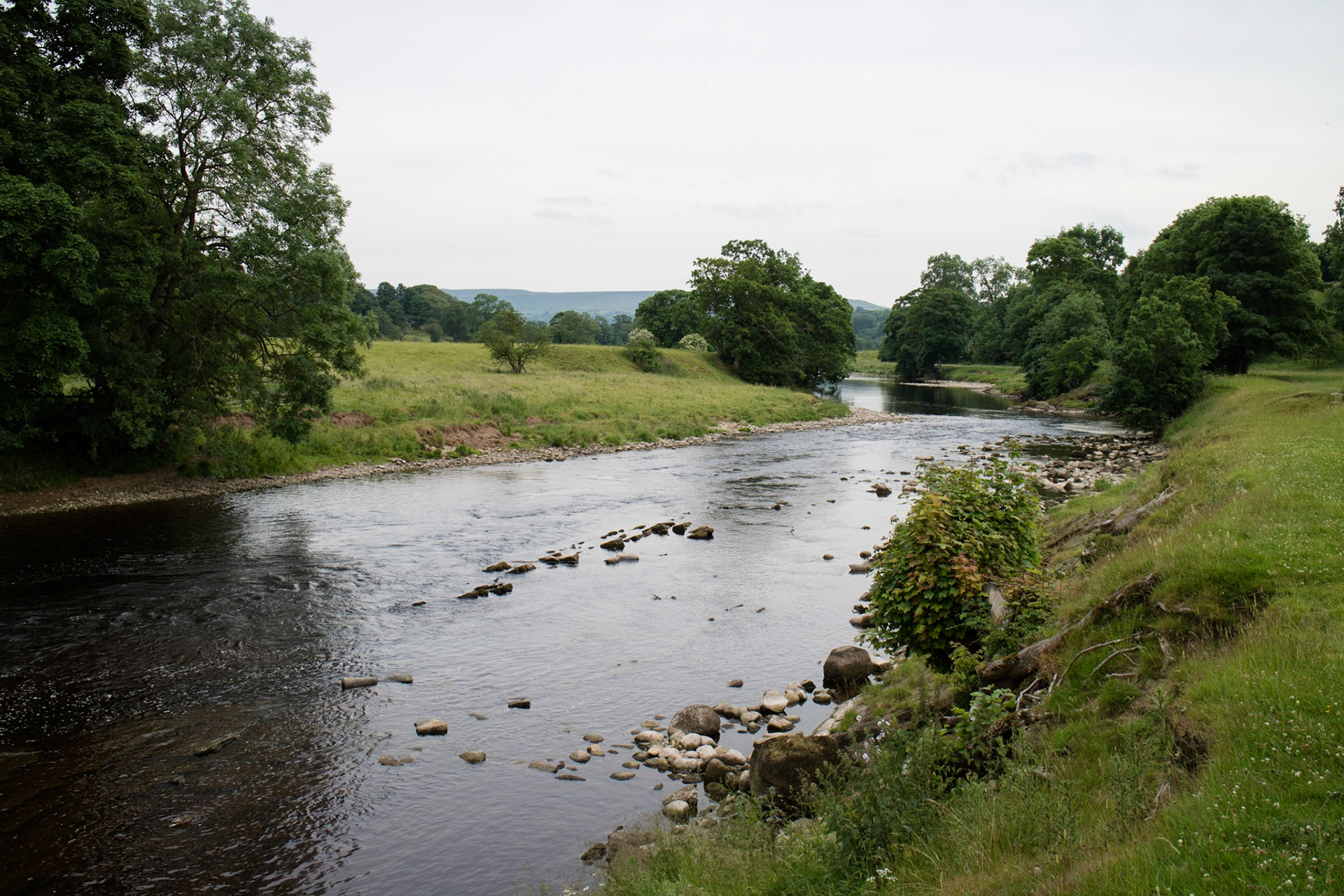 River Wharfe at Bolton Abbey