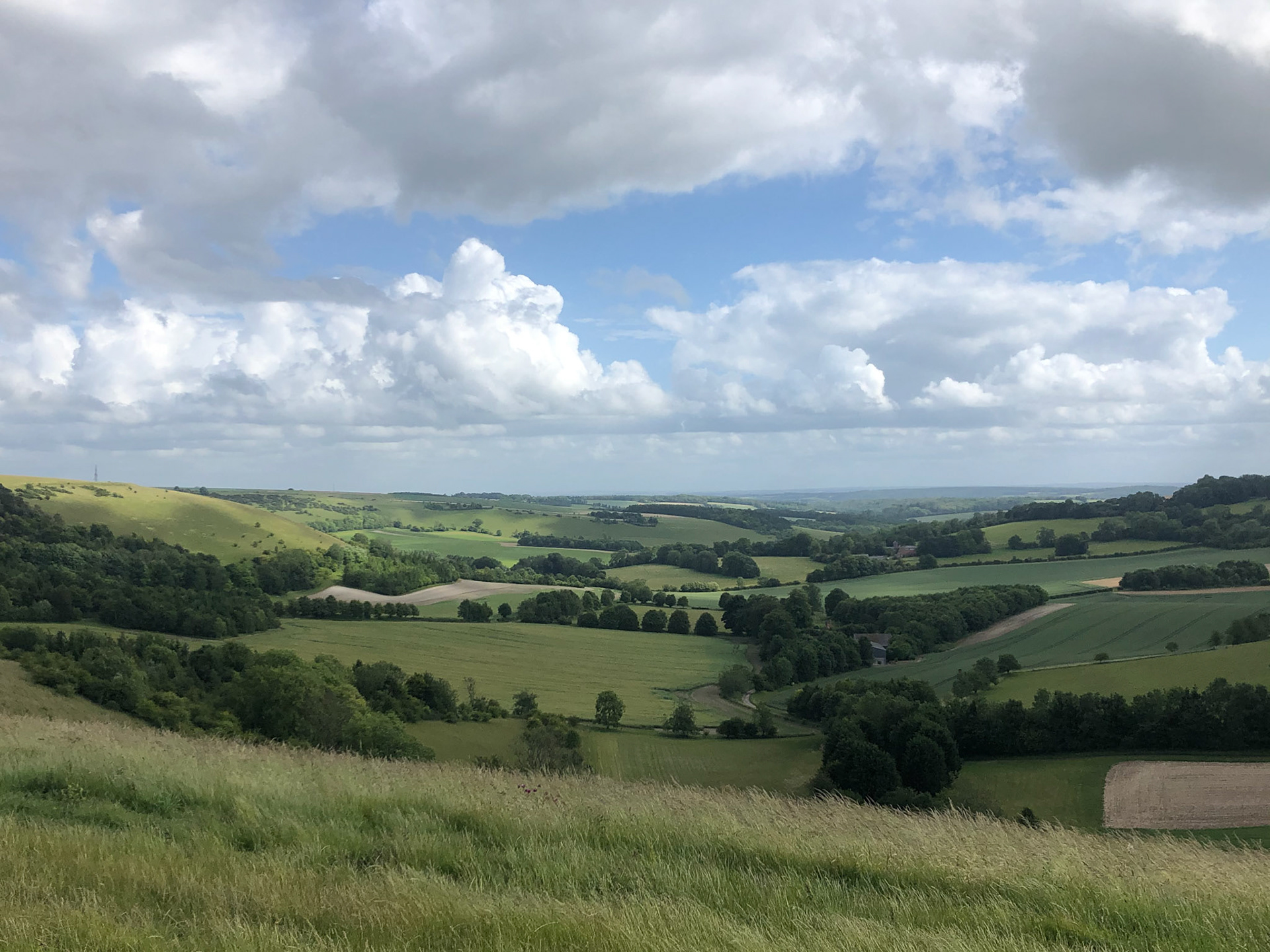 View from Inkpen Hill