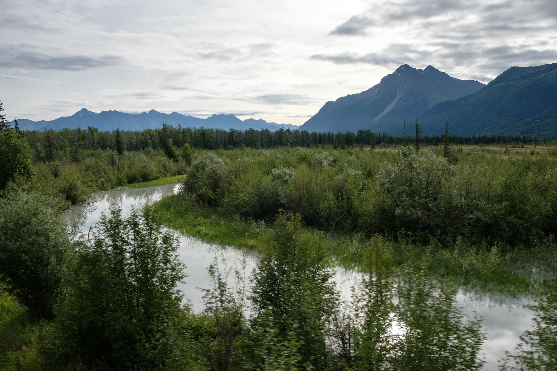 View from Denali Star train