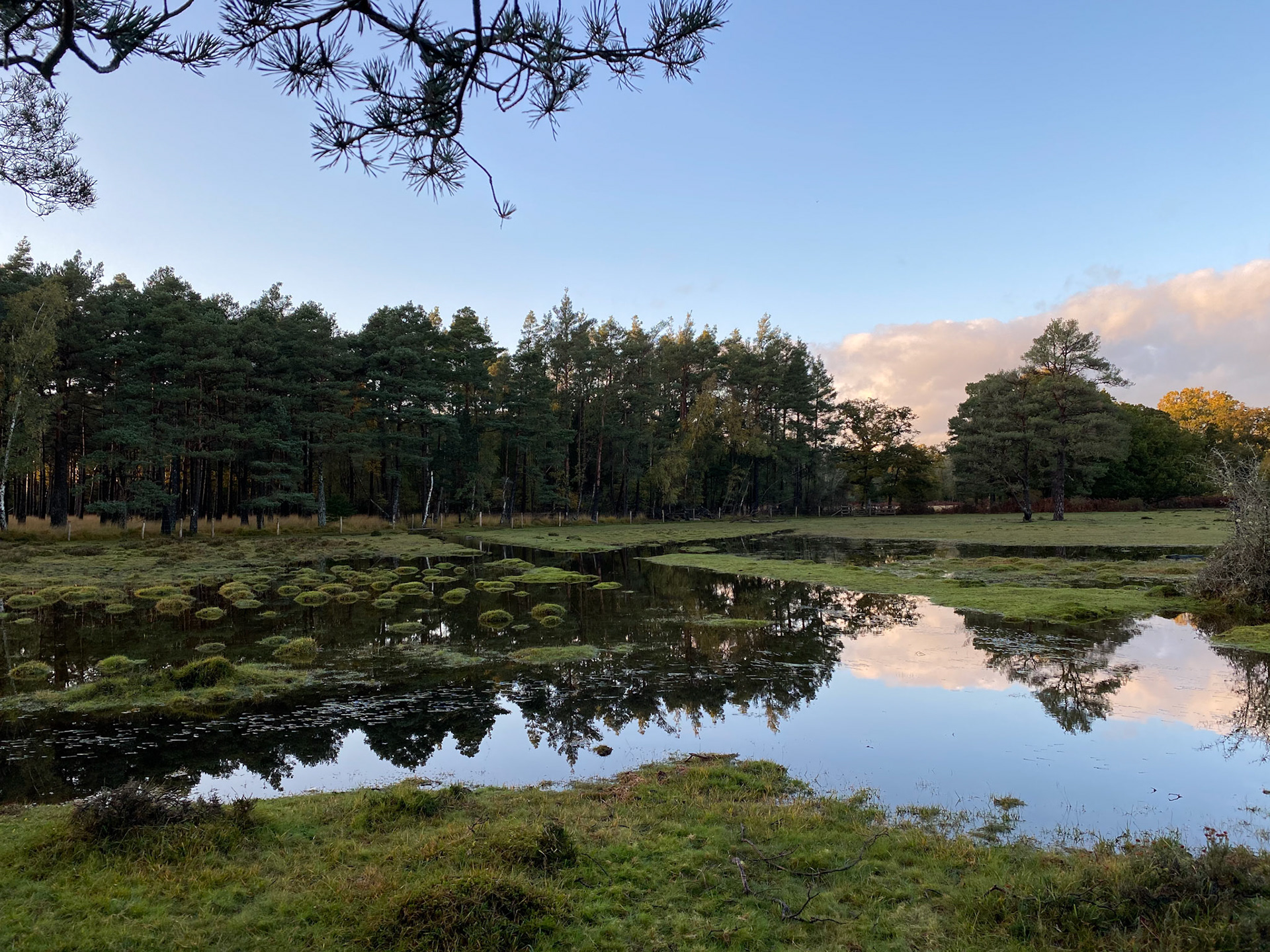 Ober Heath after heavy rain
