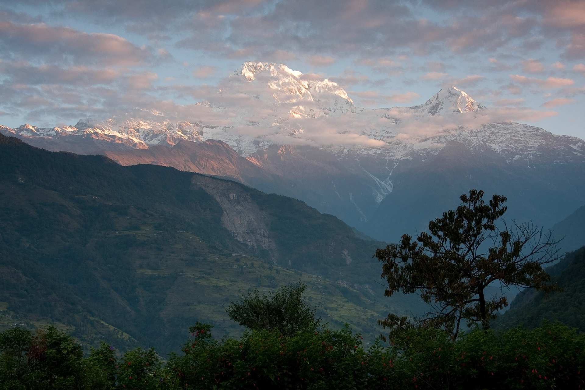 Sunrise from Gurung Lodge (Annapurna Sth and Hiunchuli)
