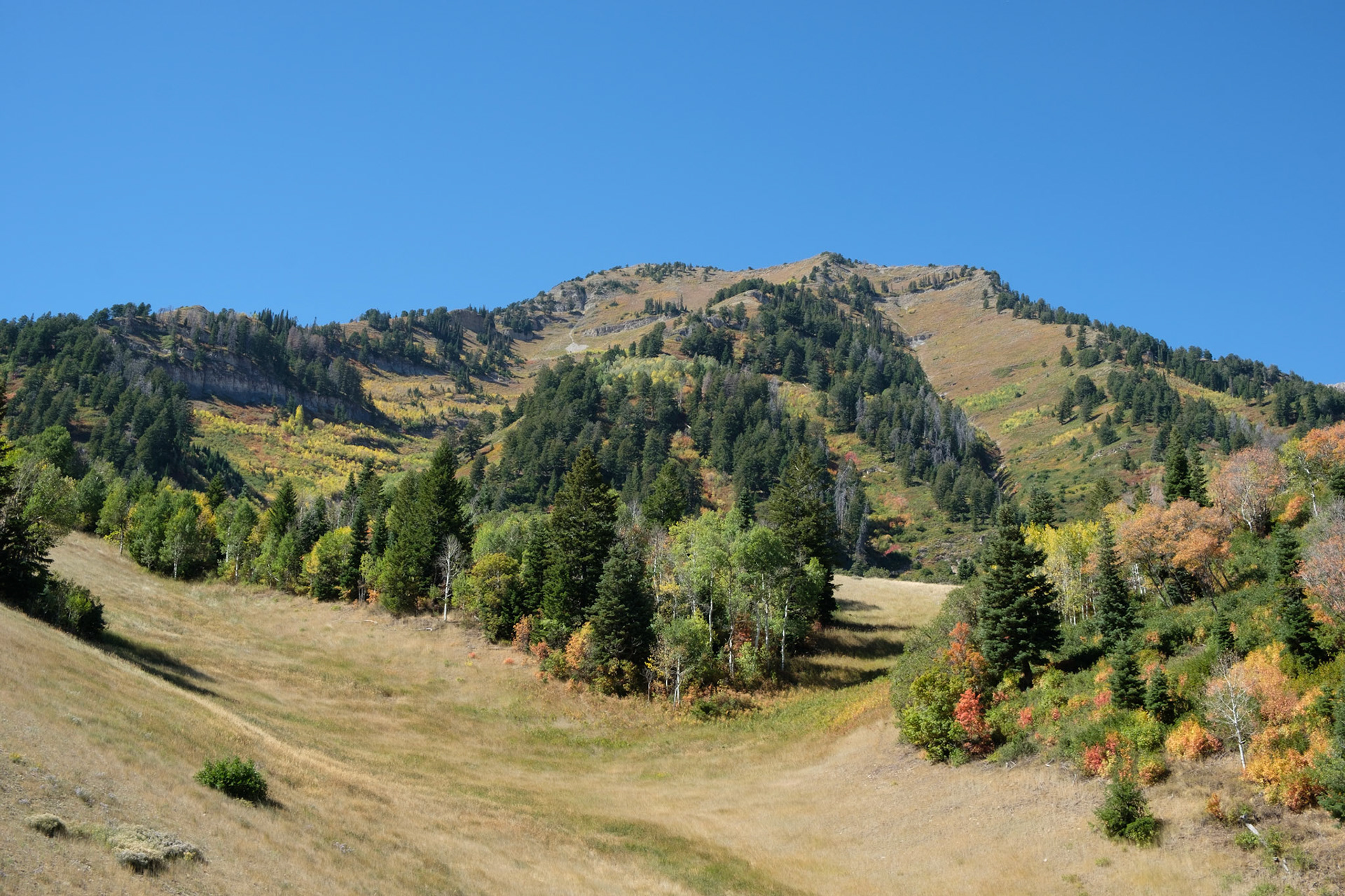 View from chairlift at Sundance