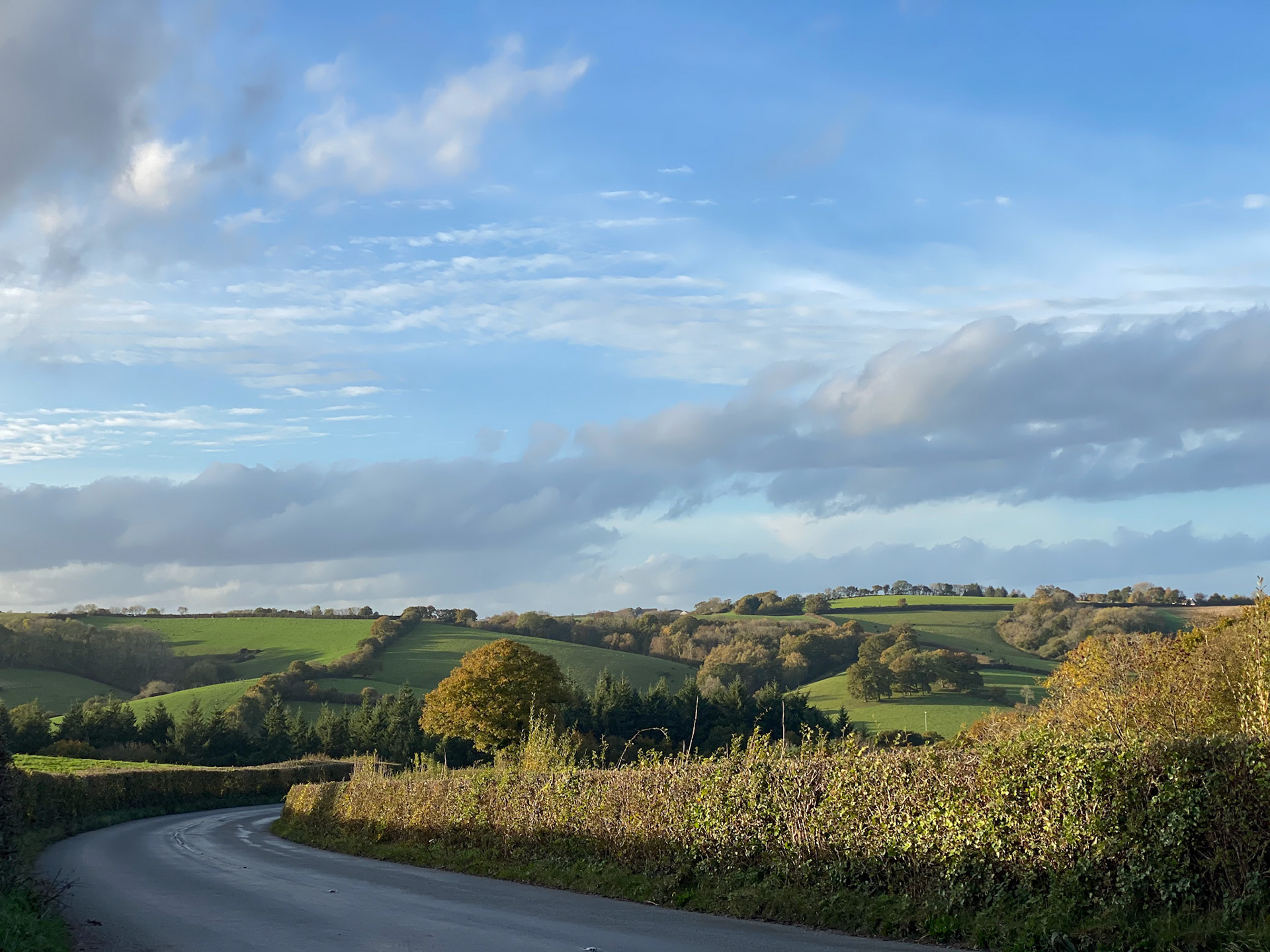 View near Holcombe Burnell