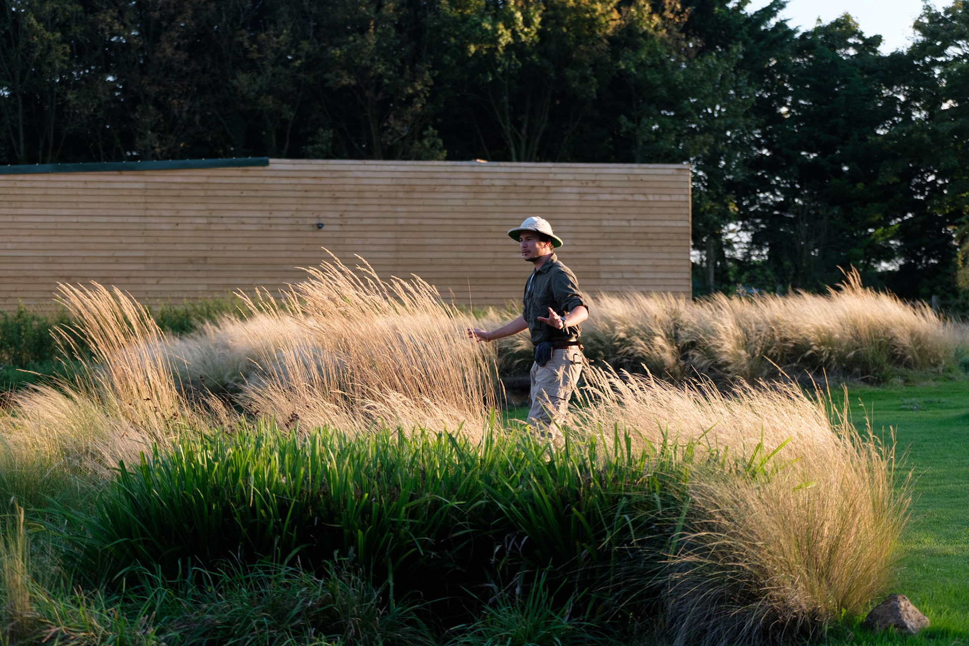 Sunset on the Savannah event