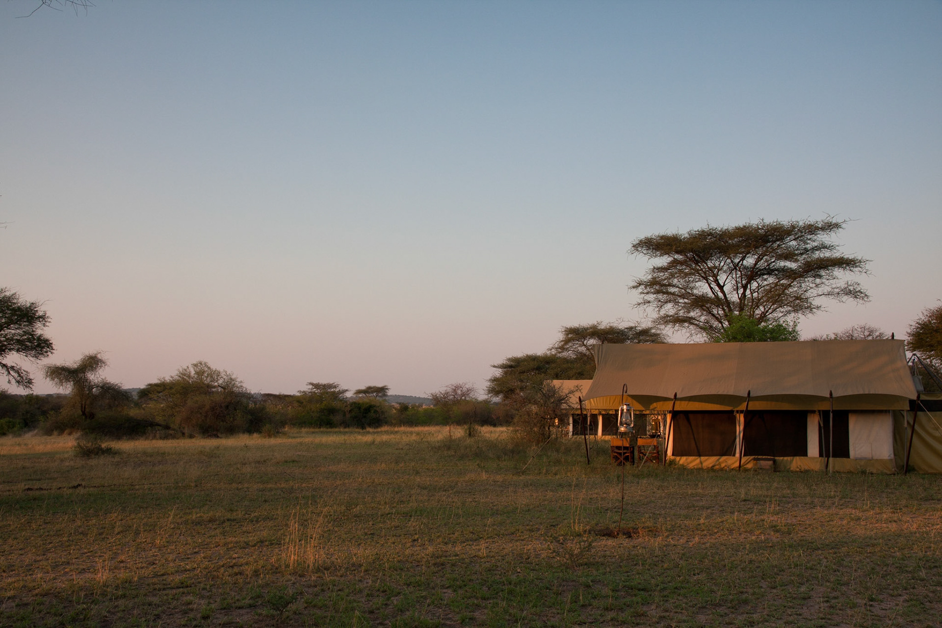 Early morning at Serengeti Under Canvas