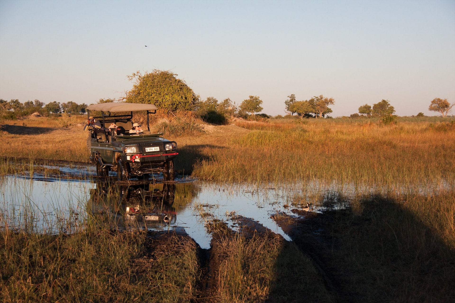 Game drive in the Okavango Delta