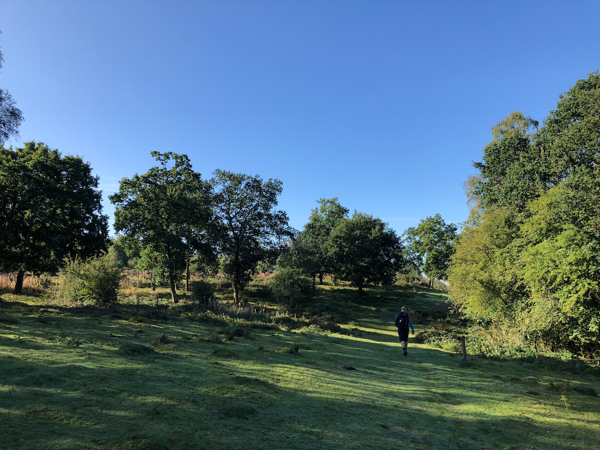 Walking across Chilbolton Down