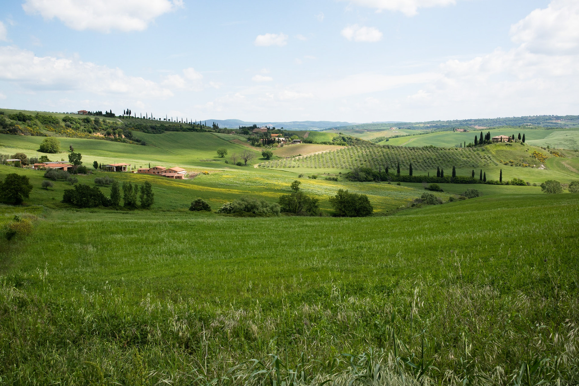 View between San Quirico and Pienza