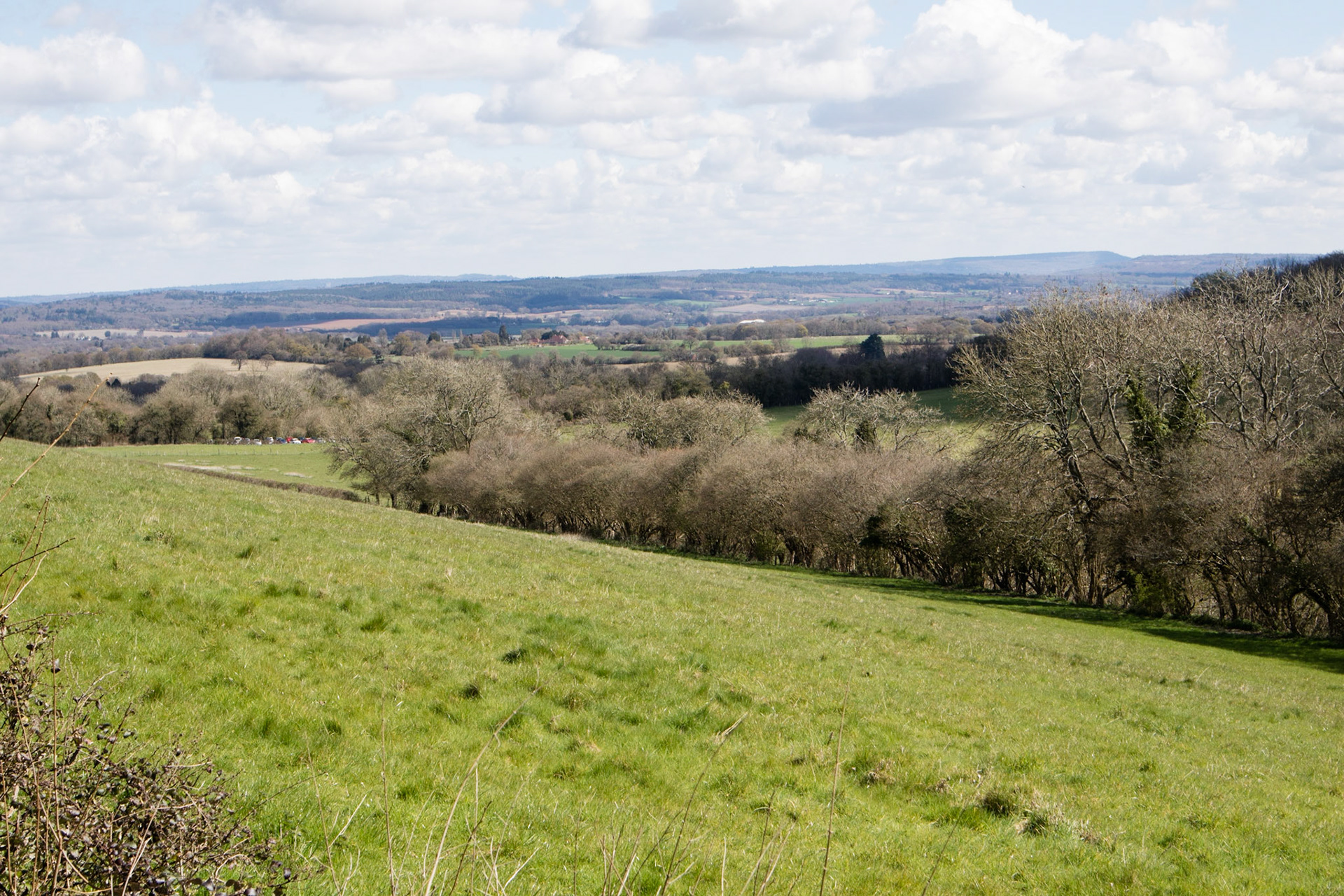 View from Queen Elizabeth Country Park