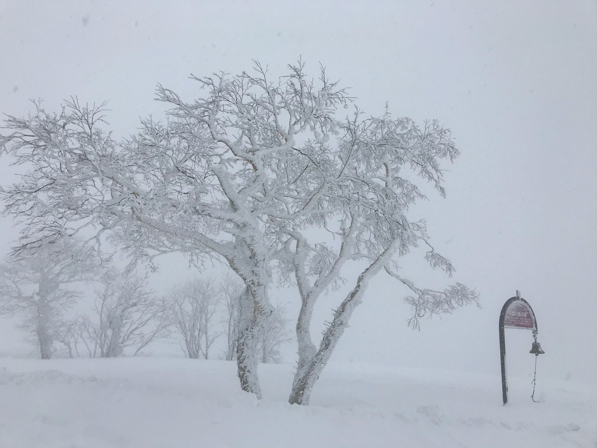 Beautiful frozen tree and "lucky" bell outside 1,000m Hut