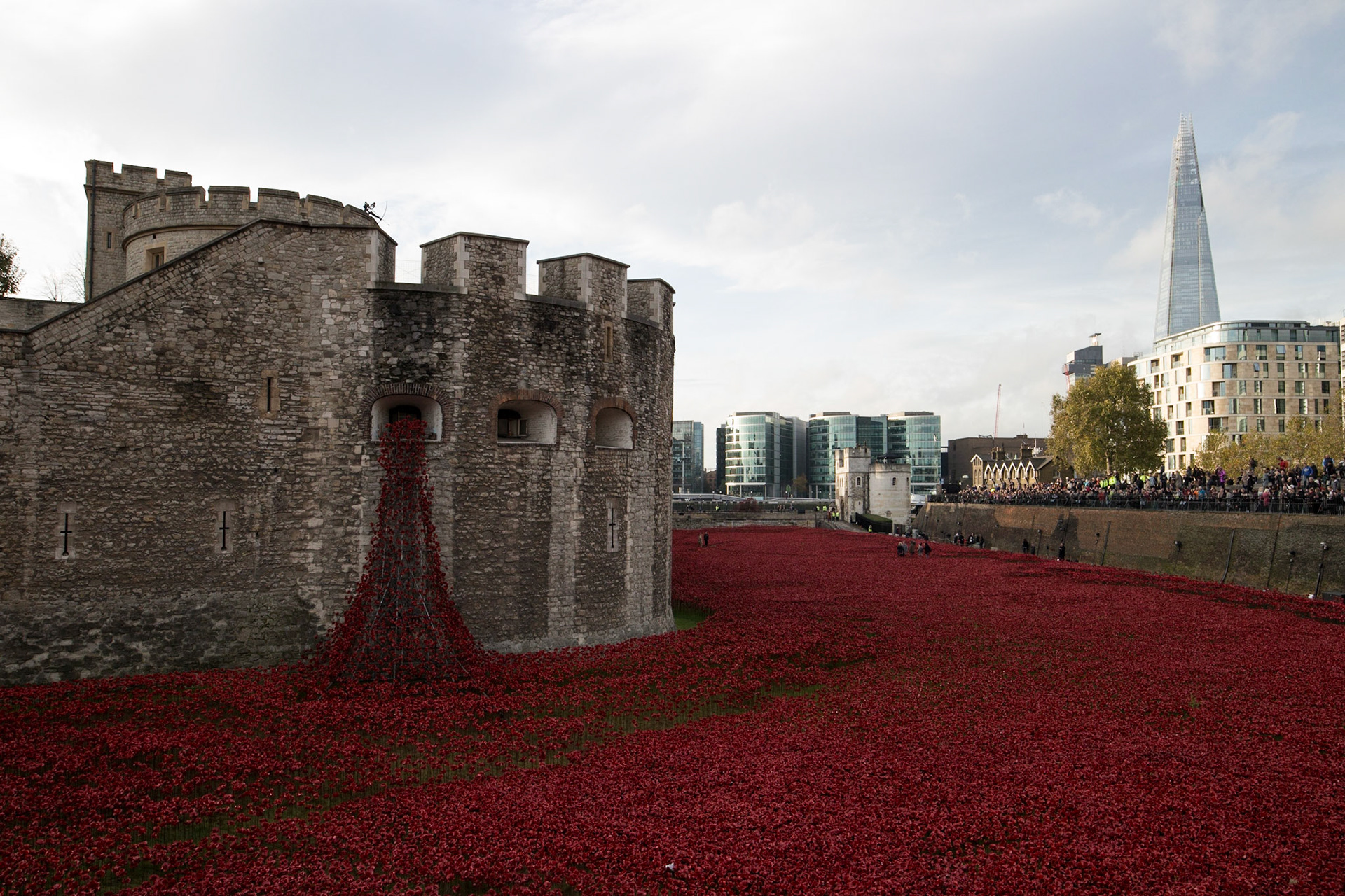 Poppies in moat at Tower of London