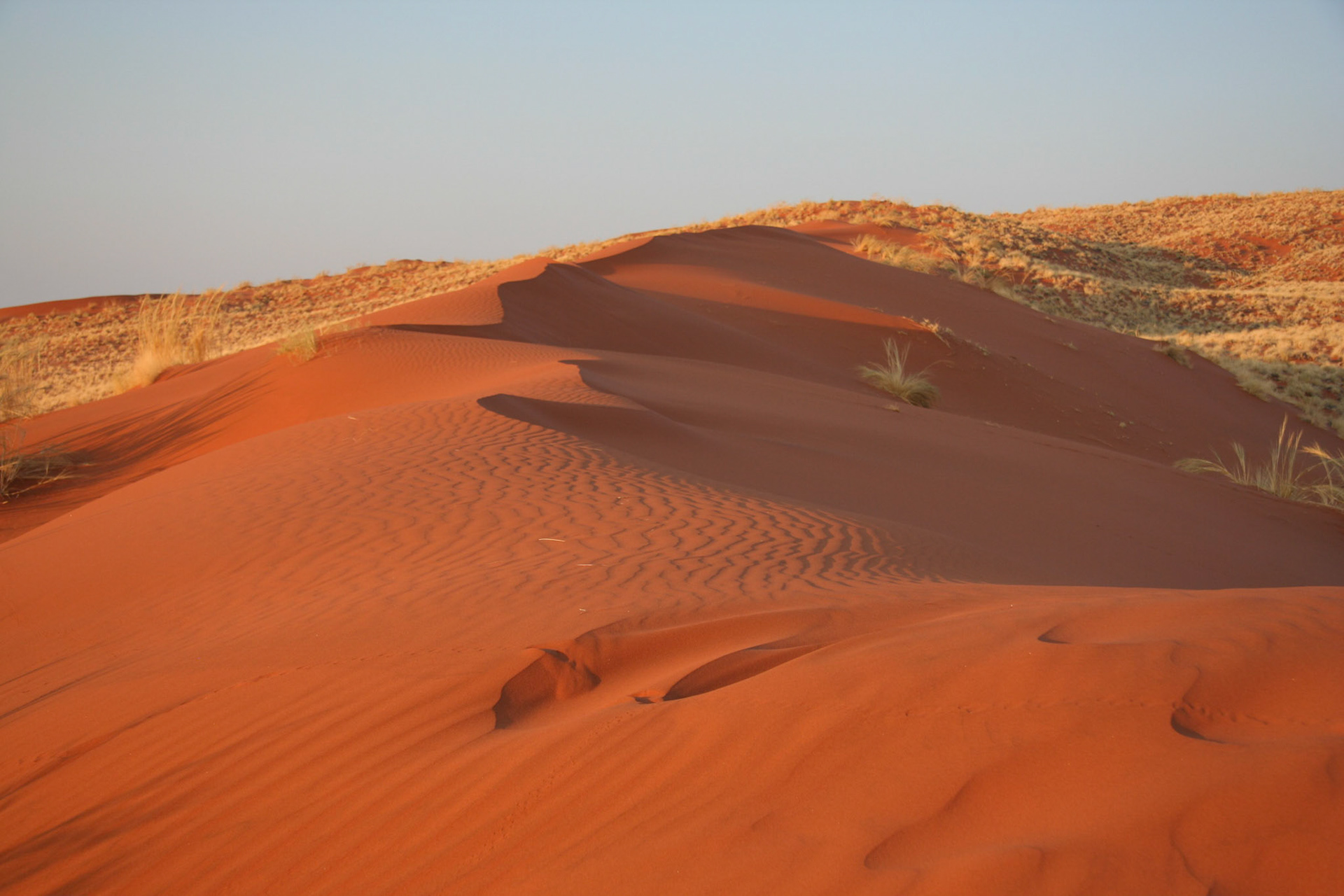 Sand dunes, NamibRand Nature Reserve