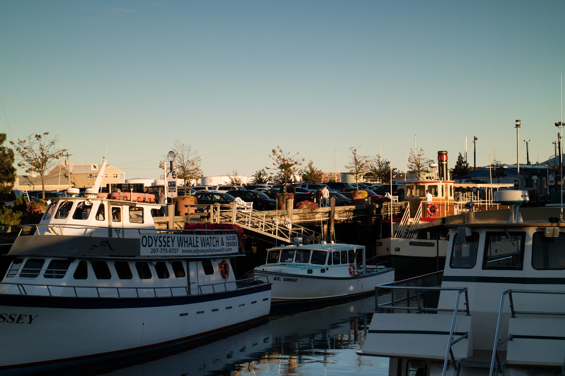 Portland harbour at sunset