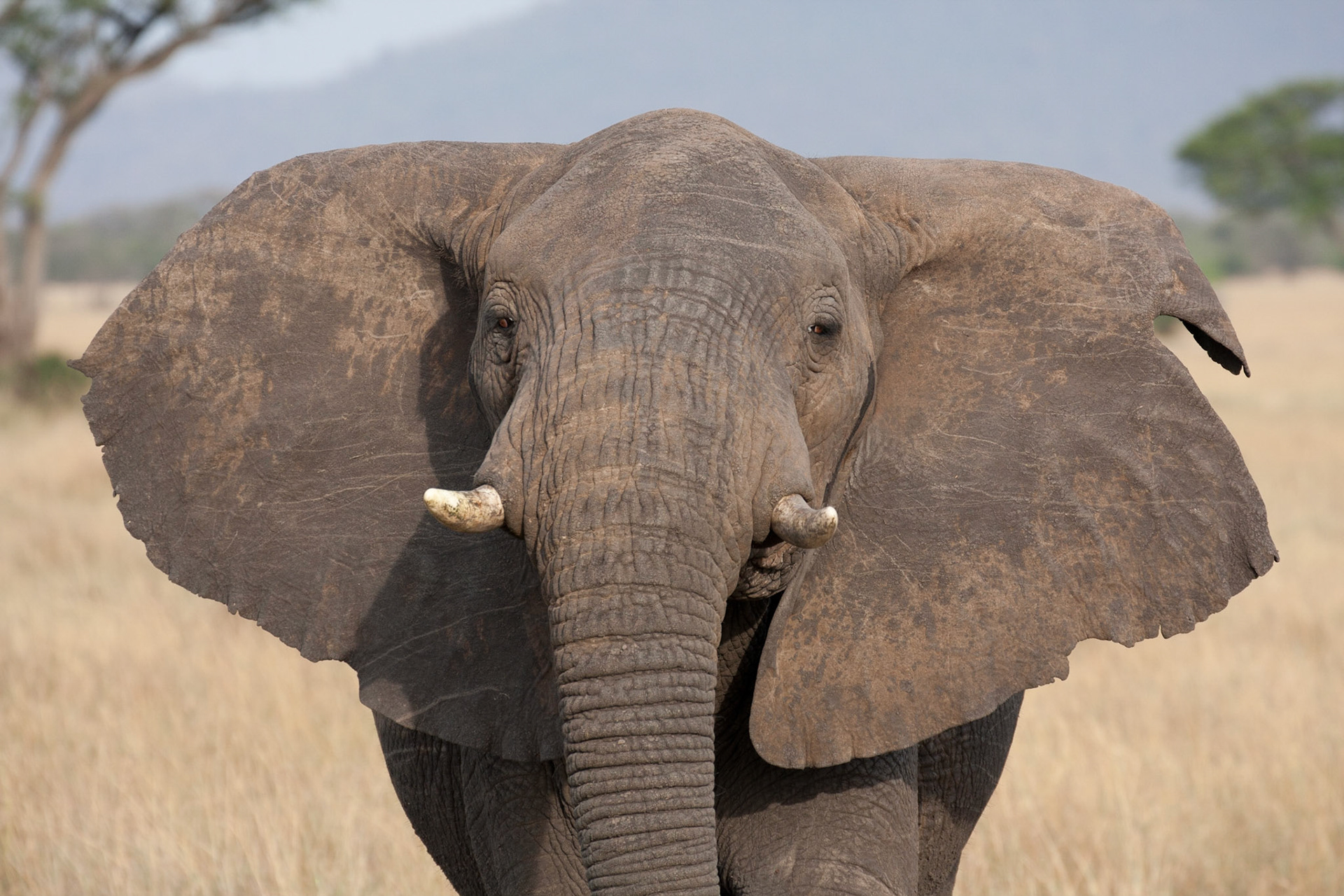 Giving us a warning...