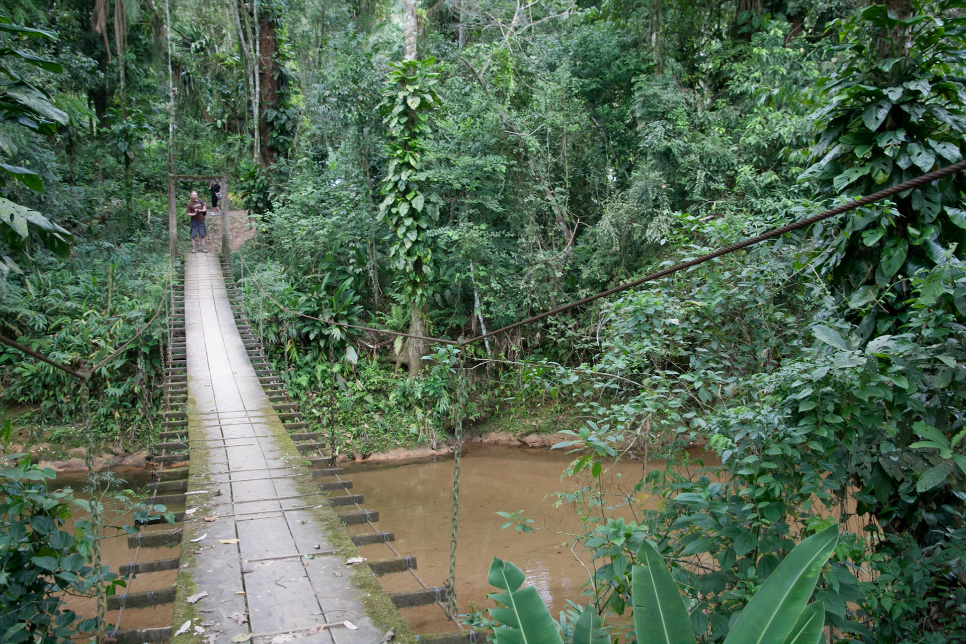 Crossing a wobbly bridge
