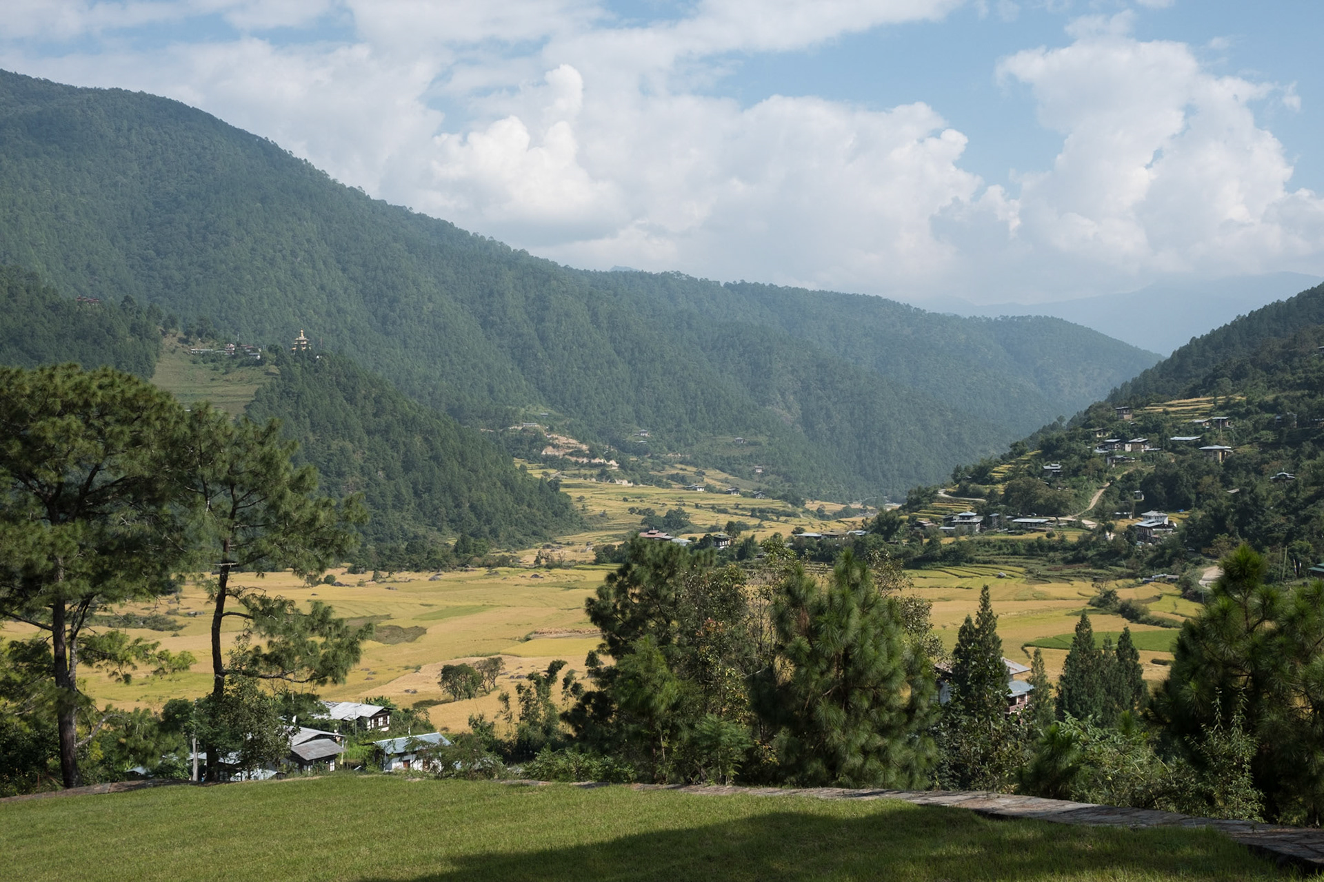 View from the terrace at Uma Punakha